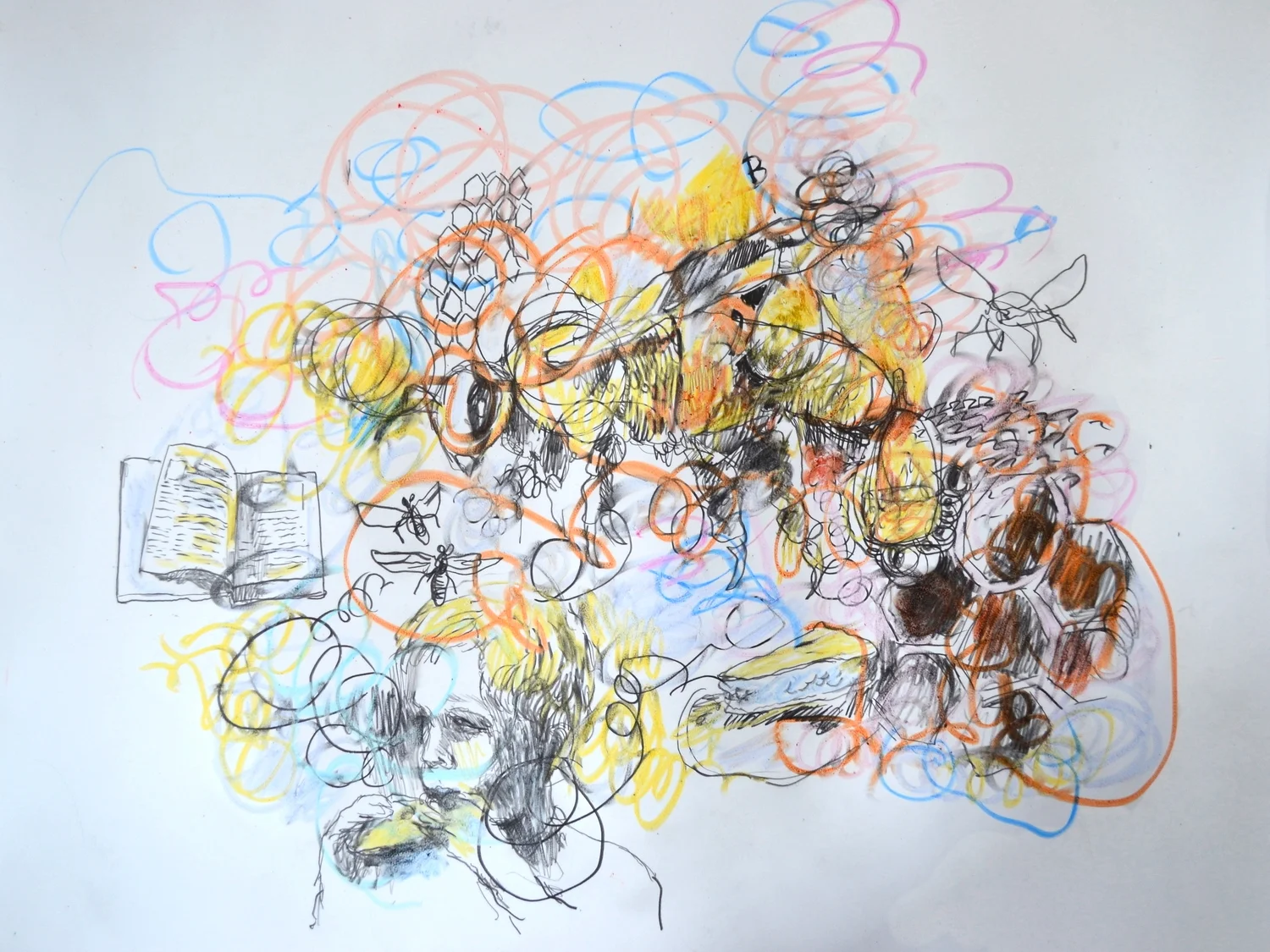 Every B in Chiilwack (drawing detail))