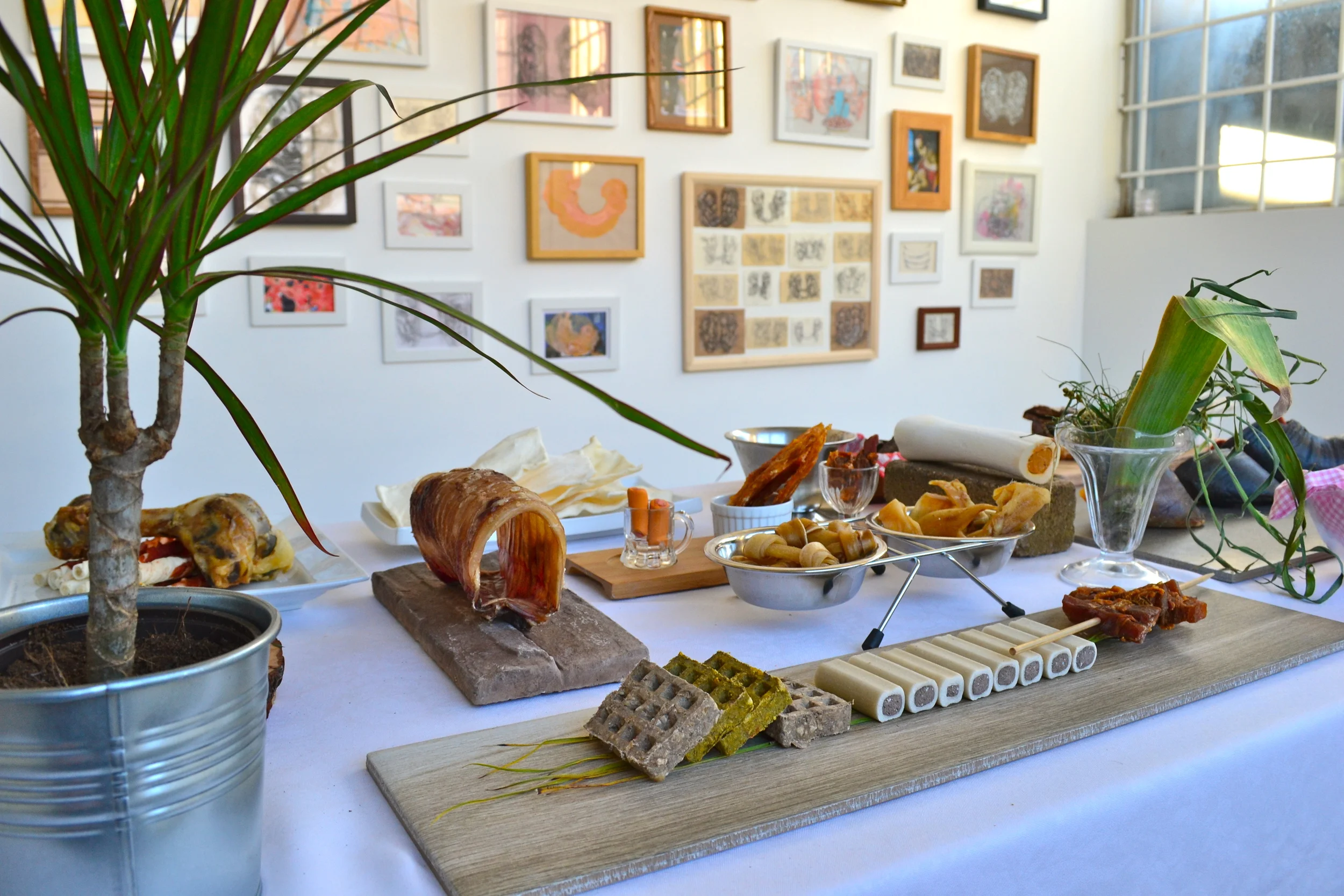 A Dogs' Dinner and What Leaves Us Feed Us