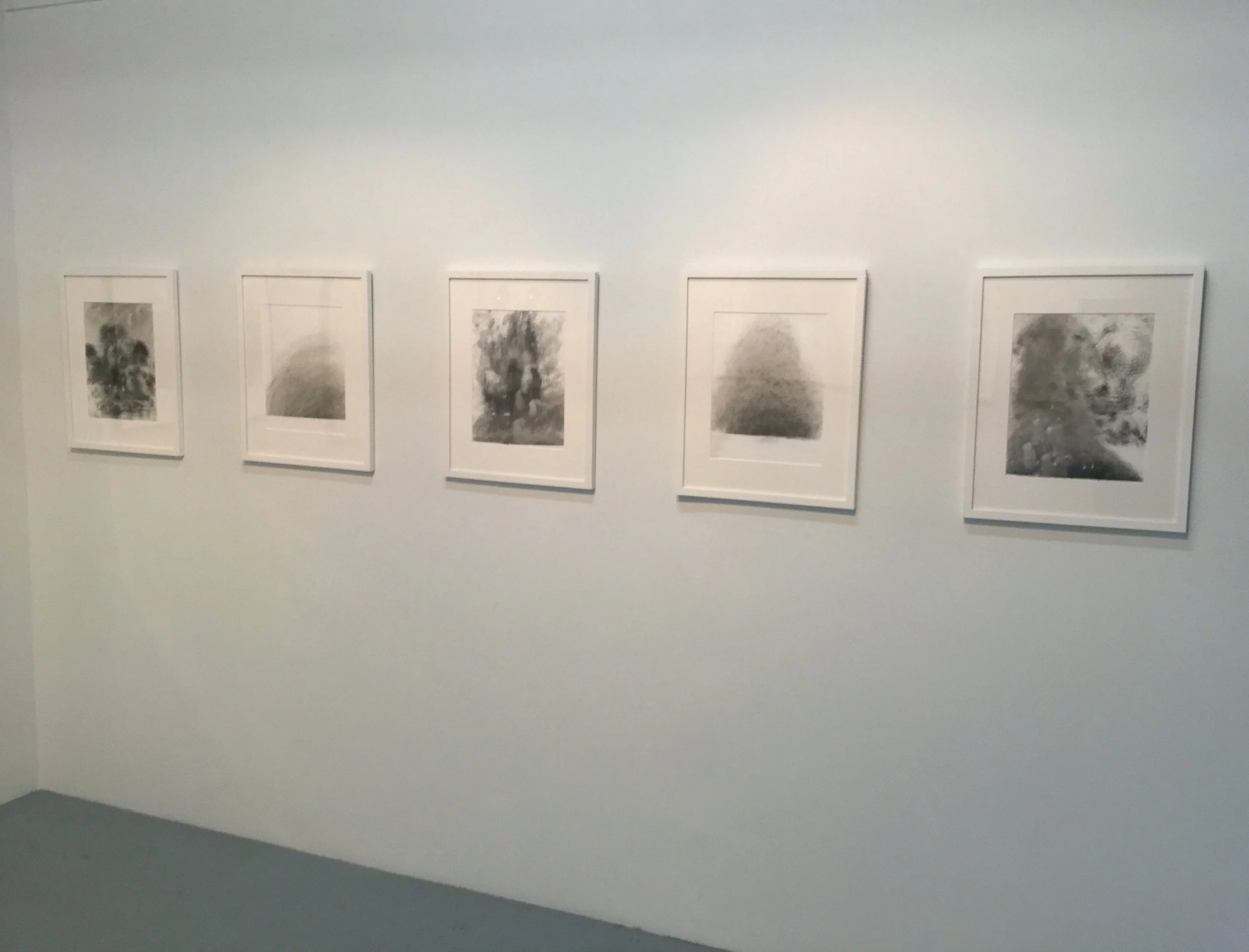 charcoal rubbings on paper, 2016
