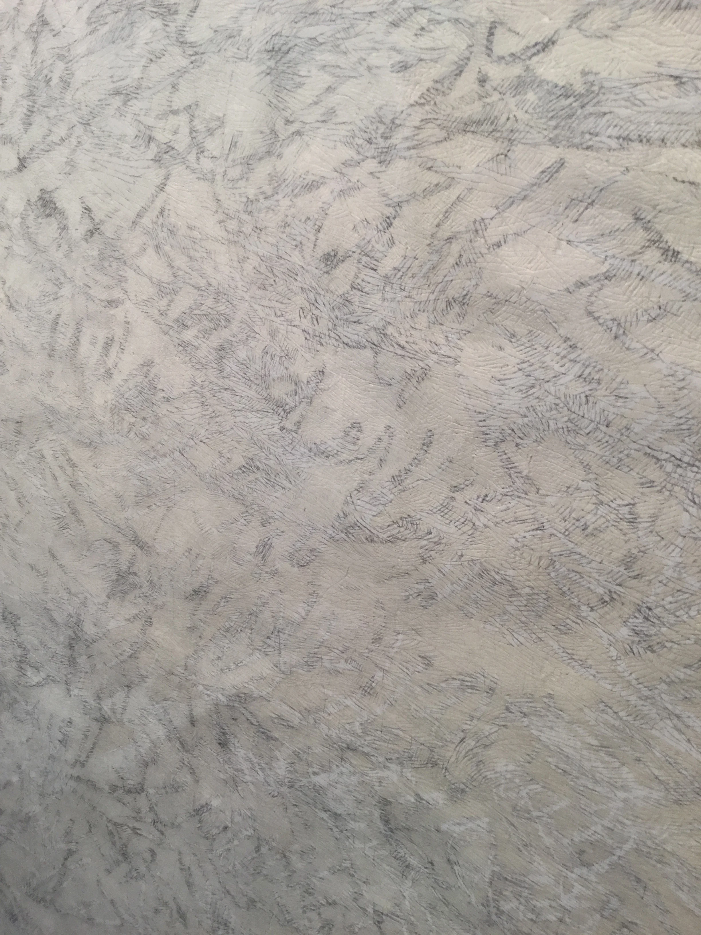 silverpoint, carving and china marker on paper (detail), 2016