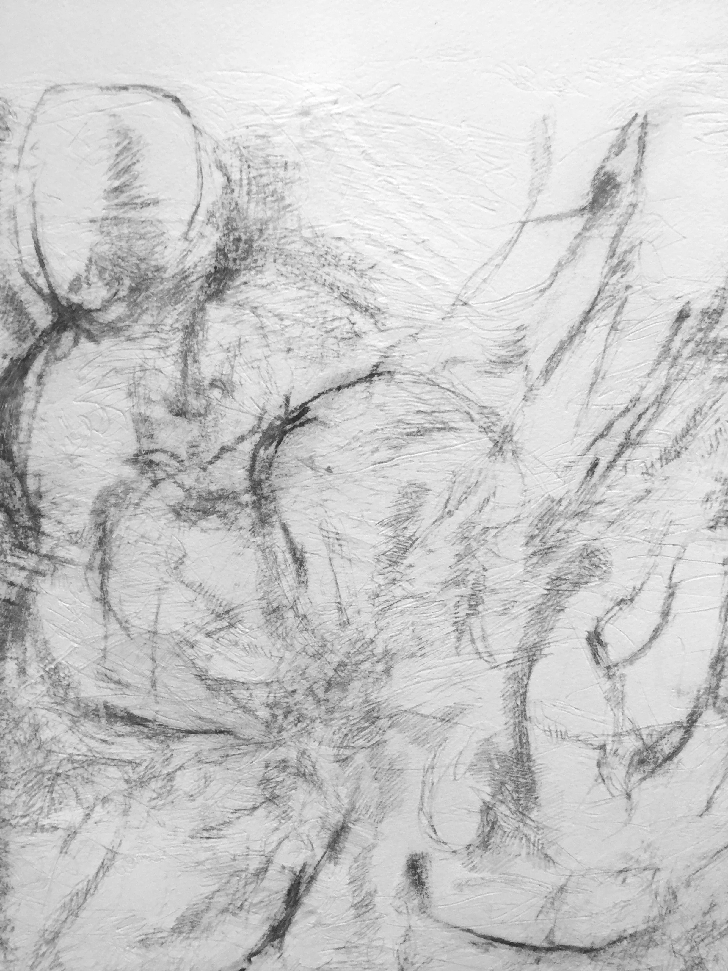 silverpoint, carving and china marker on paper (detail), 2016