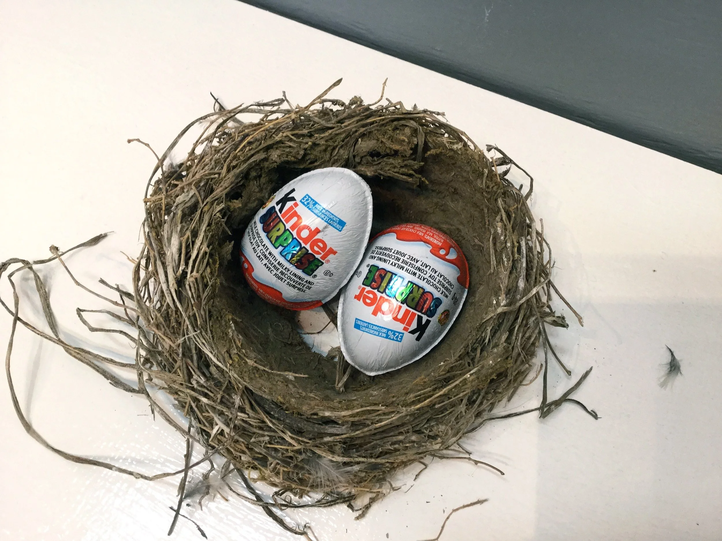 birds nest, Kinder Surprise, 2016