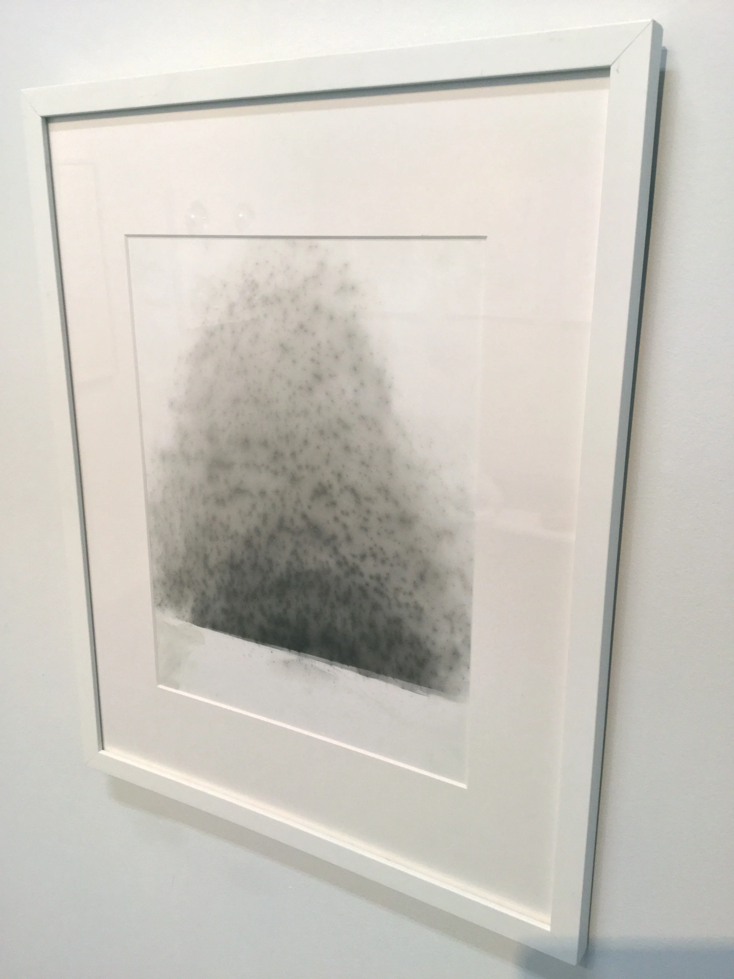 charcoal rubbings on paper, 2016