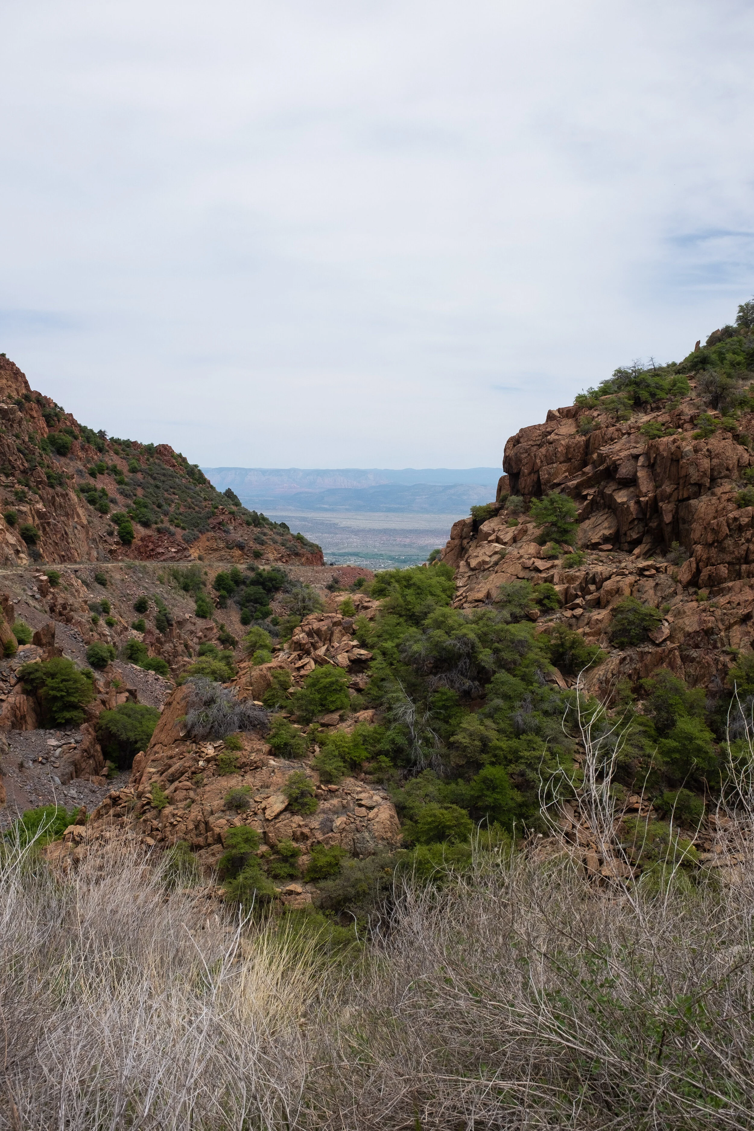 DSCF0051.jpg