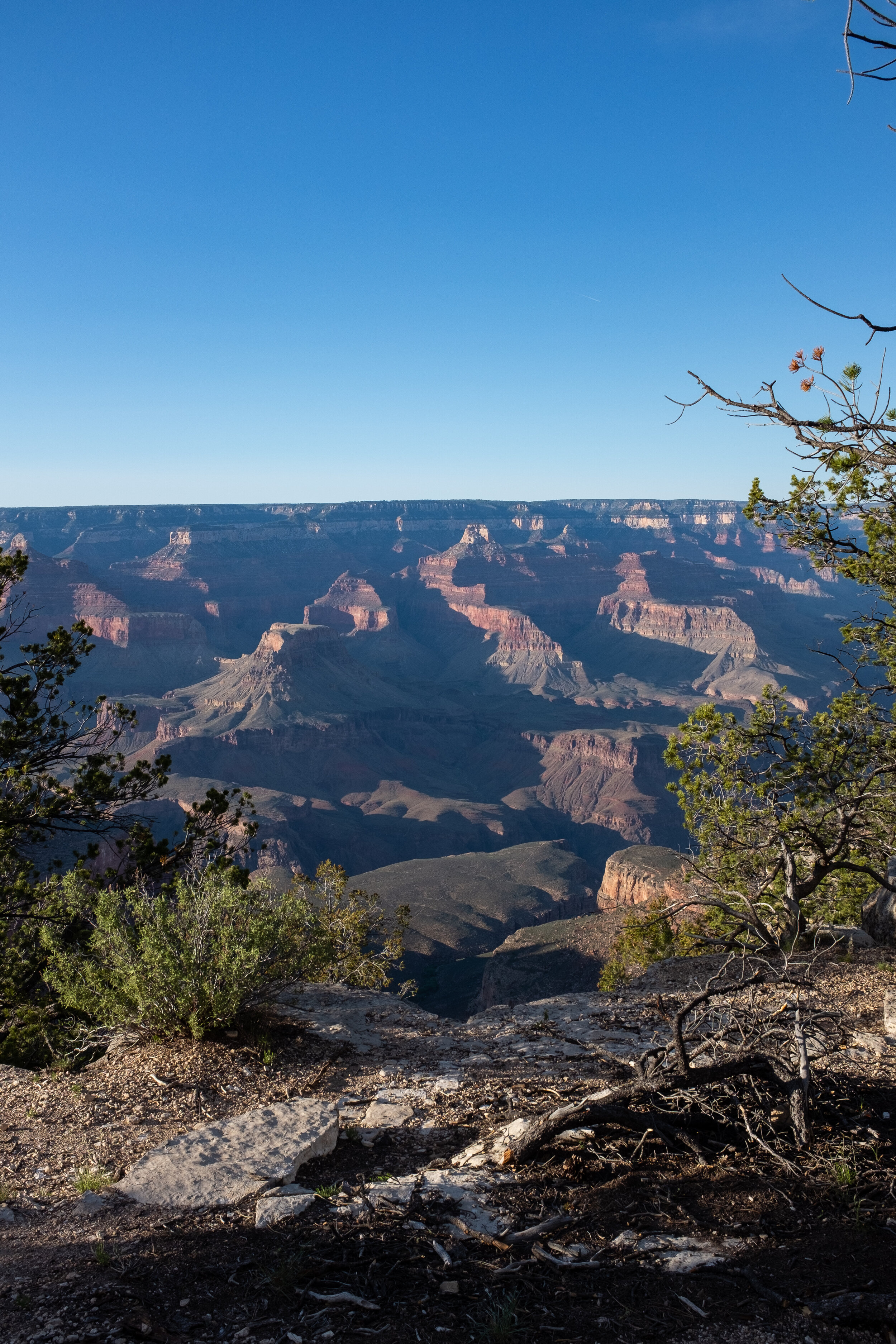 DSCF0155.jpg