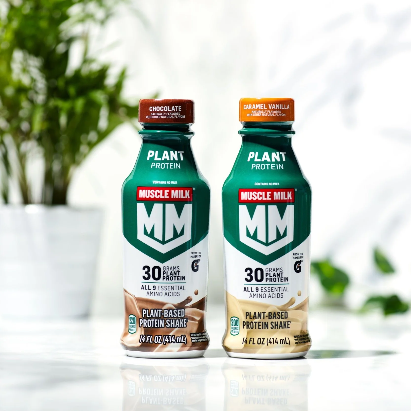 MM23_PLANT_HDPECHOC_CARMVAN_TT_1.jpg