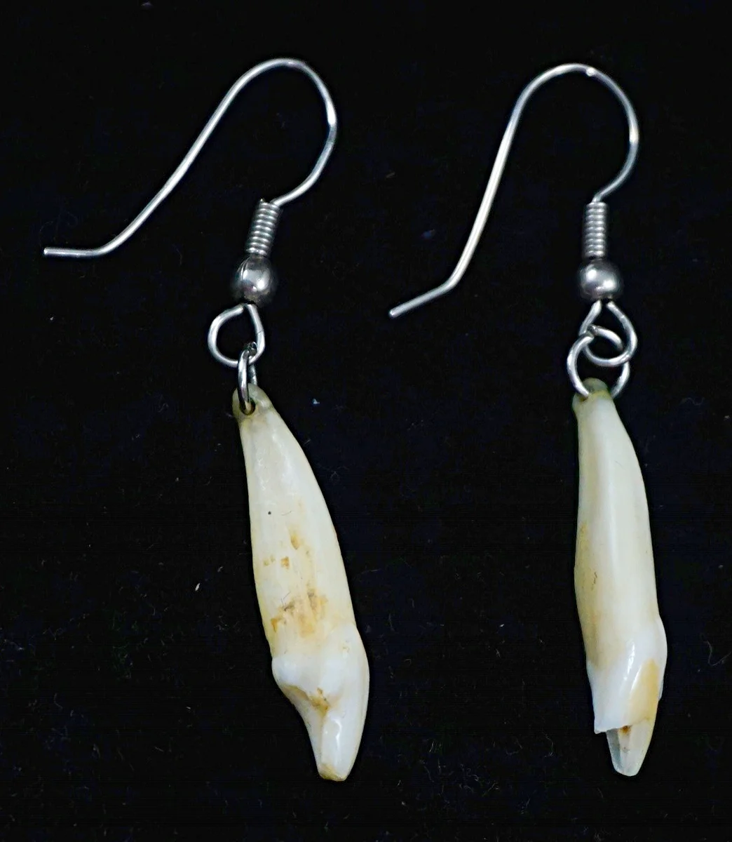 *Native American Earrings EAGLE ROCK TRADING POST