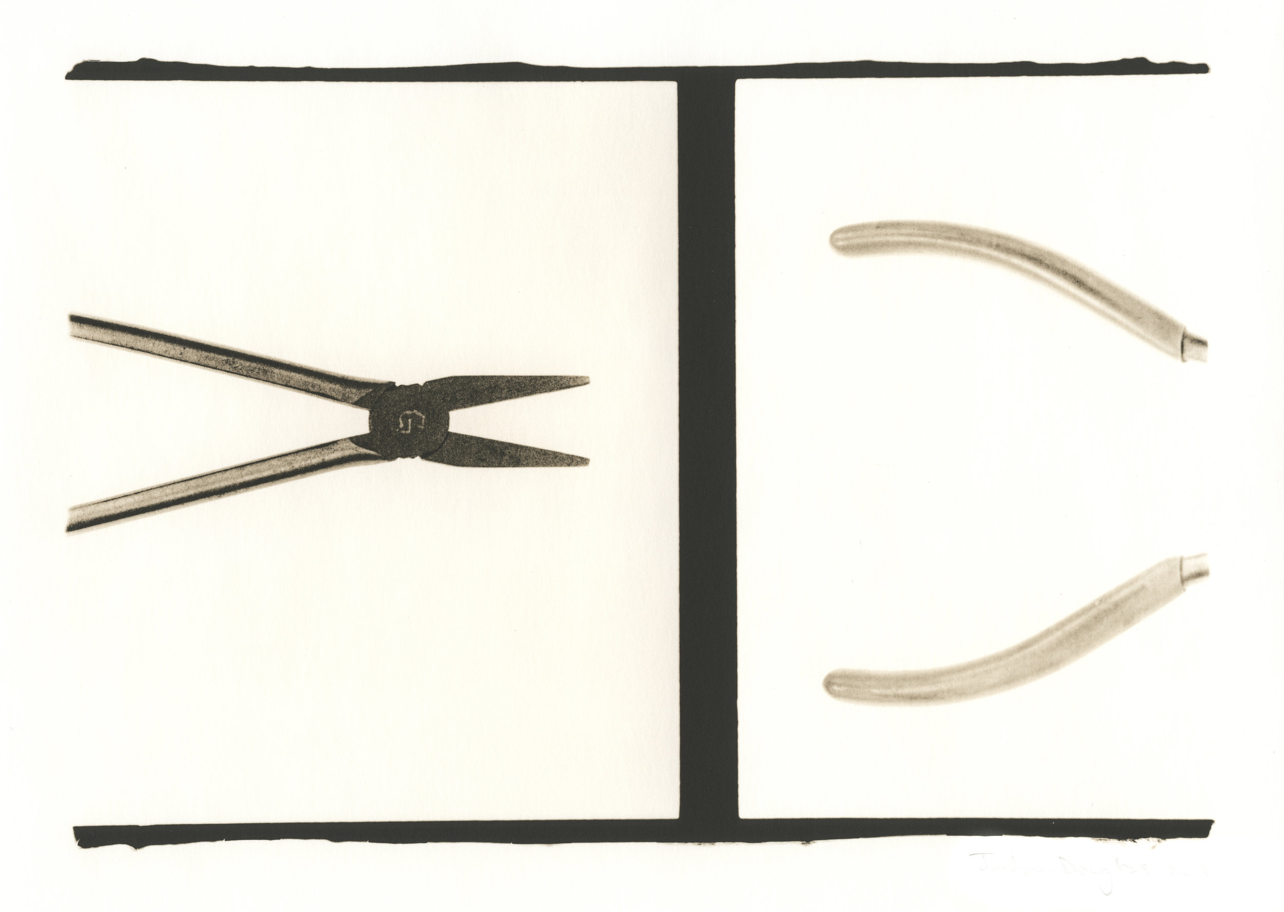Pliers Diptych