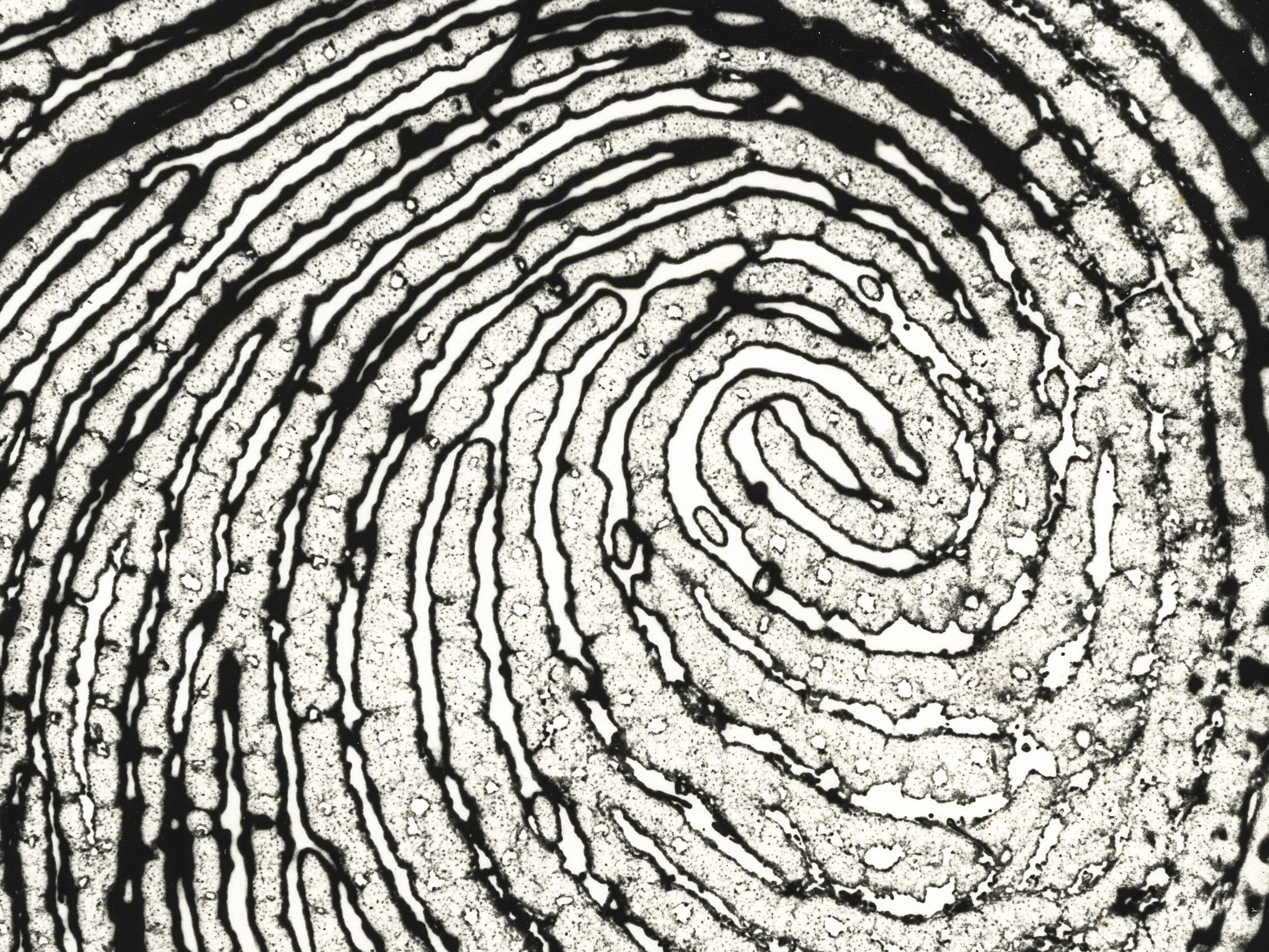 Fingerprint Interior, Jean Luc Dushime