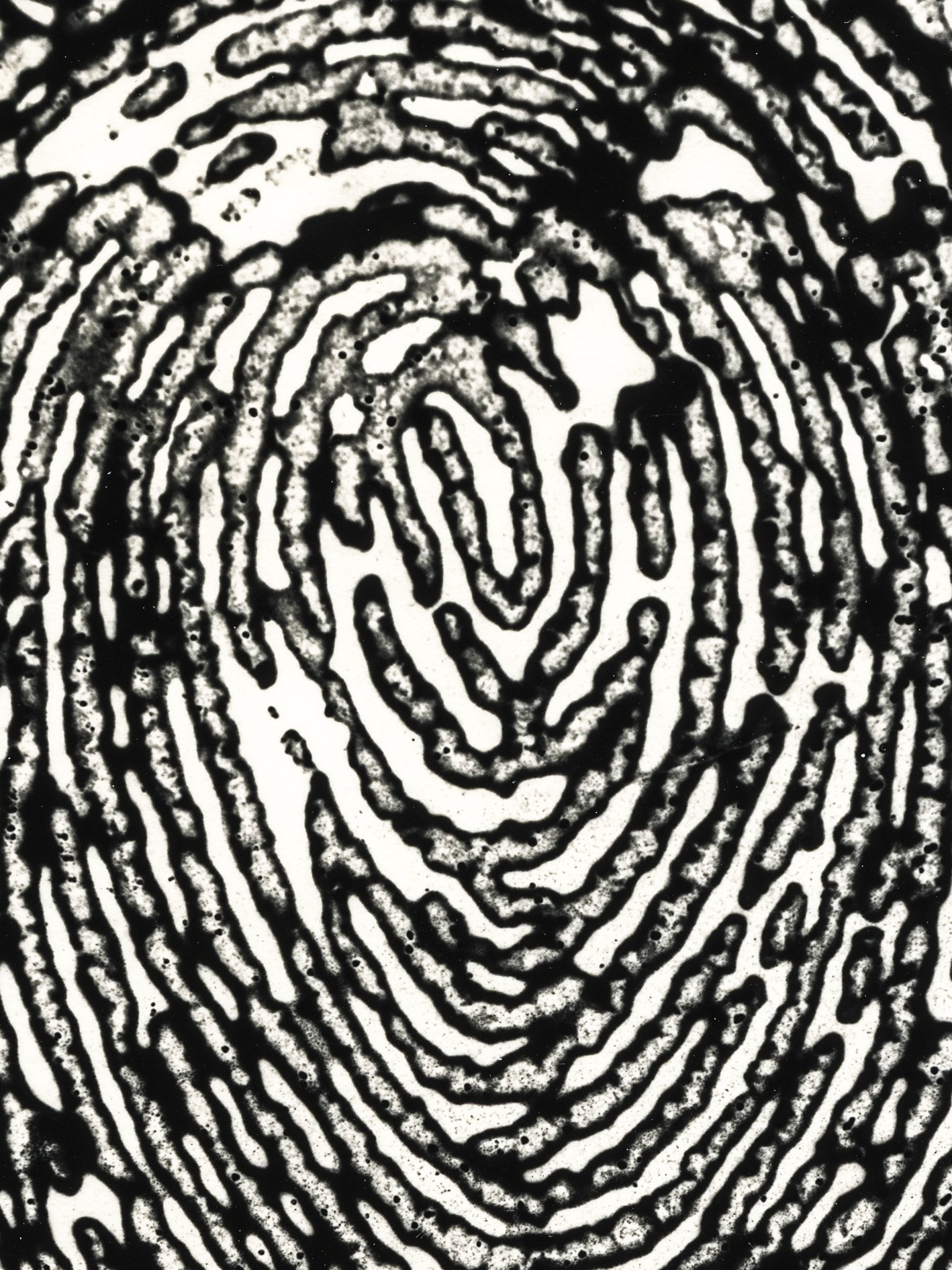 Fingerprint Interior, Mia Fritze
