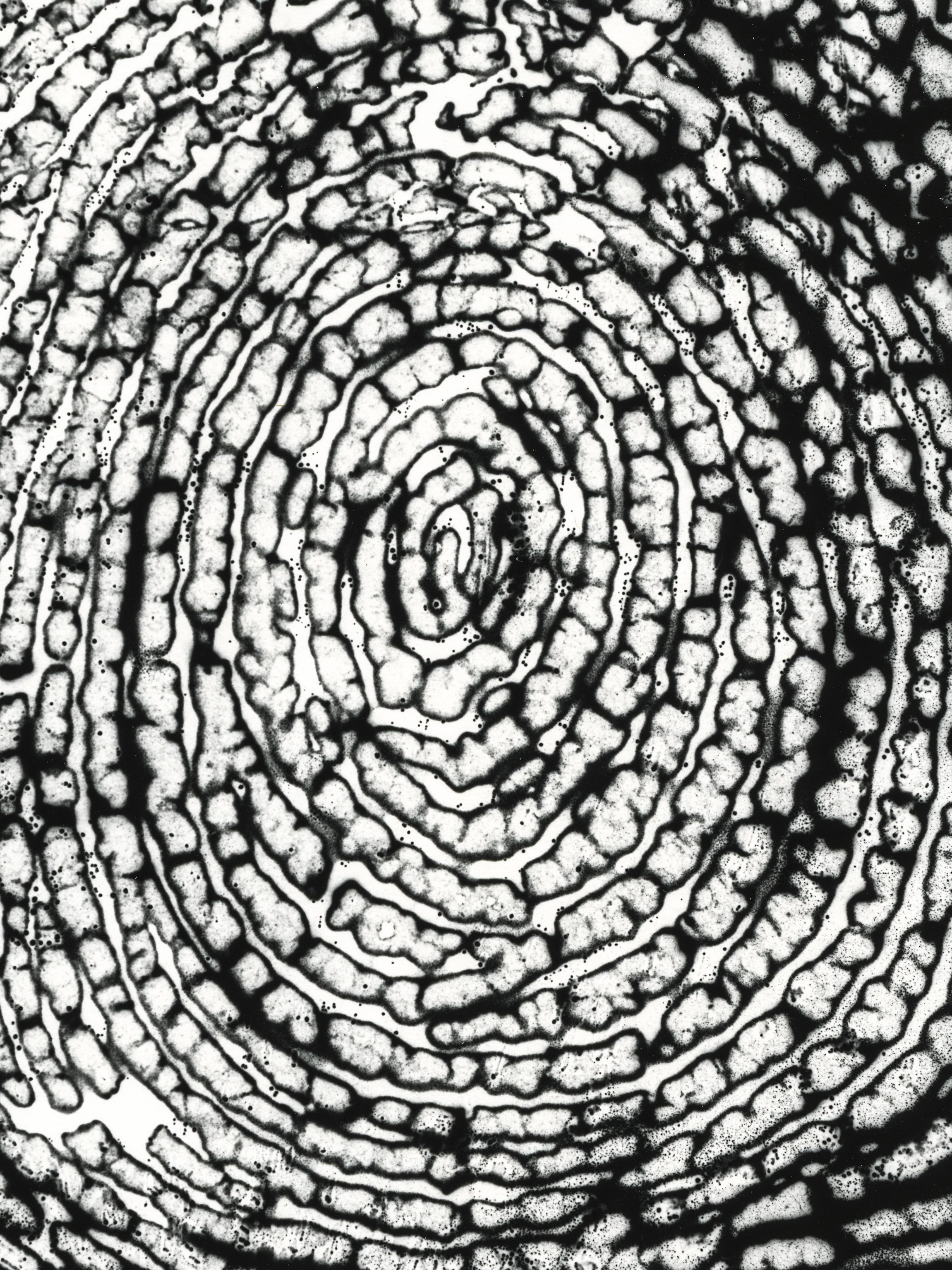 Fingerprint Interior, Sonam
