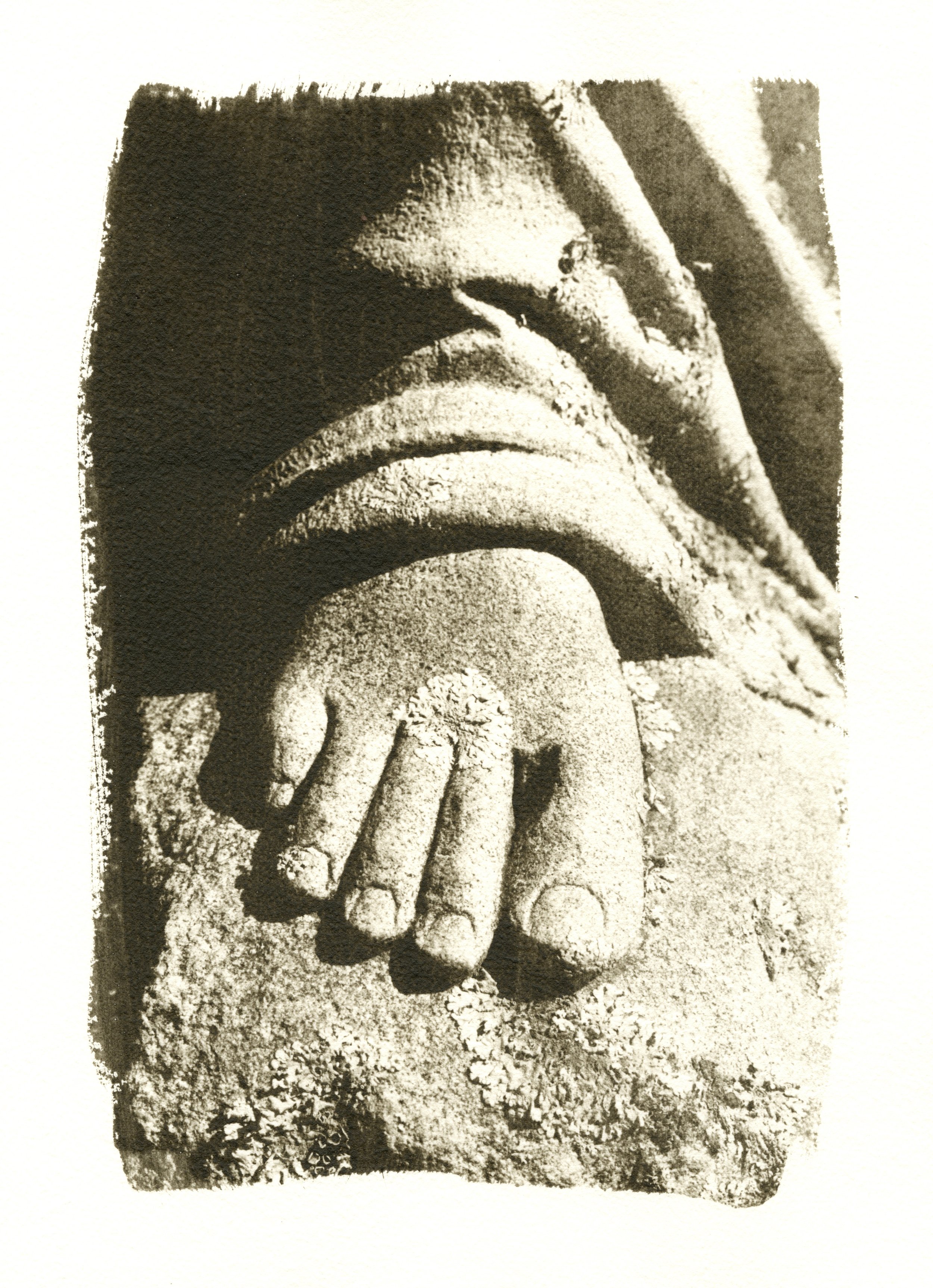 Lichen Foot, 2006