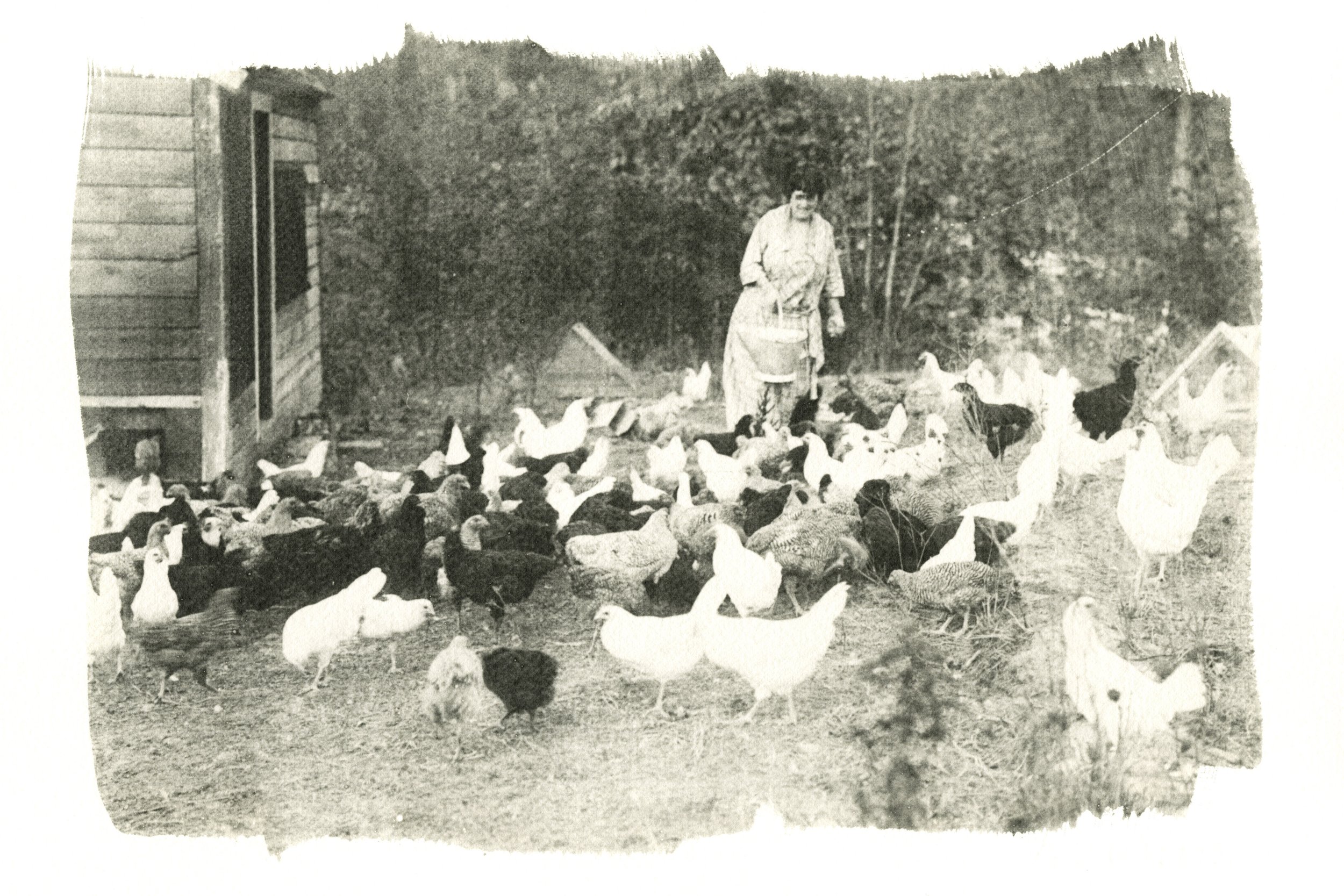 Woman with Chickens, 1920's