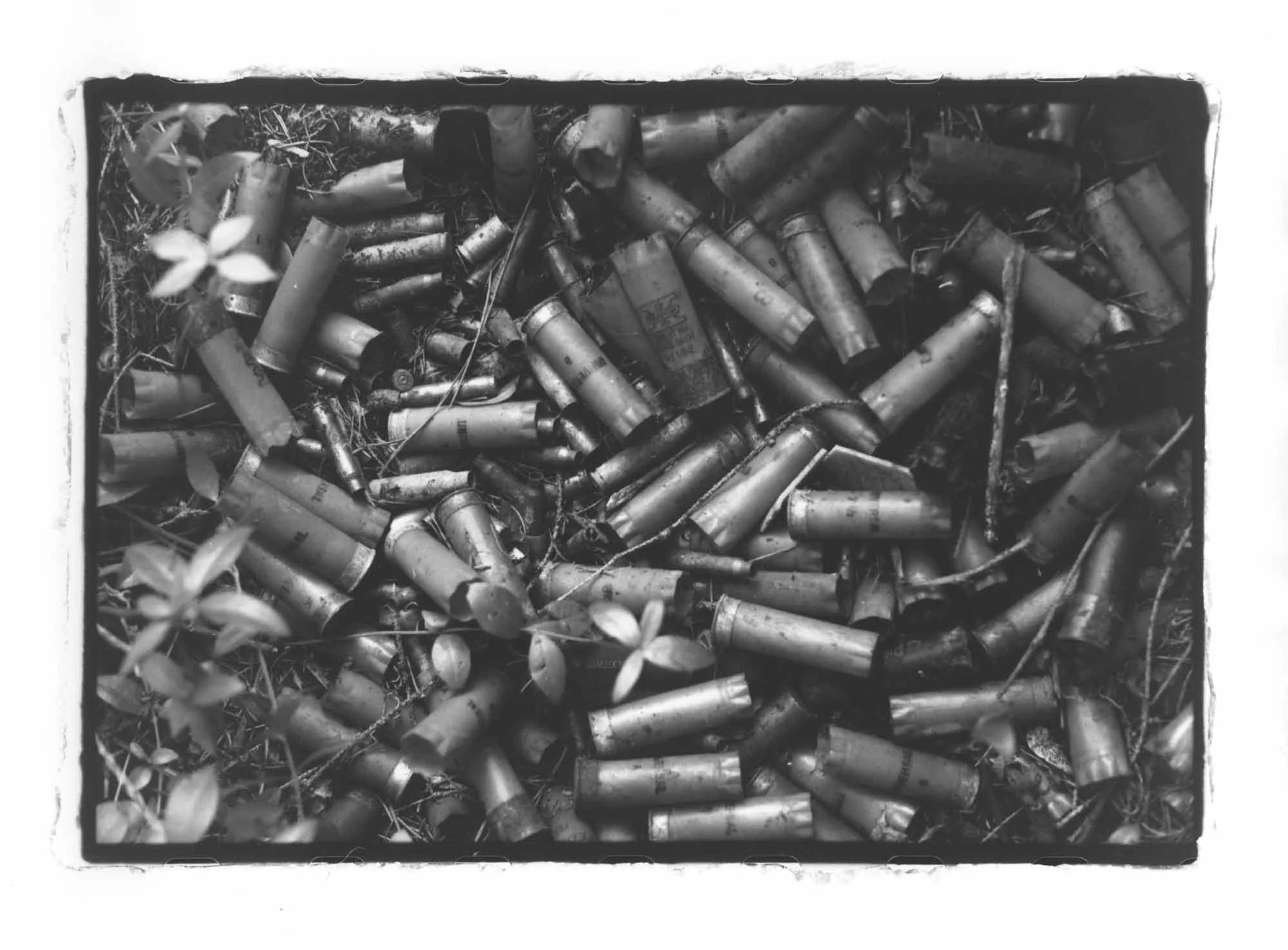 63 Basin Street, Bullet Shells.jpg