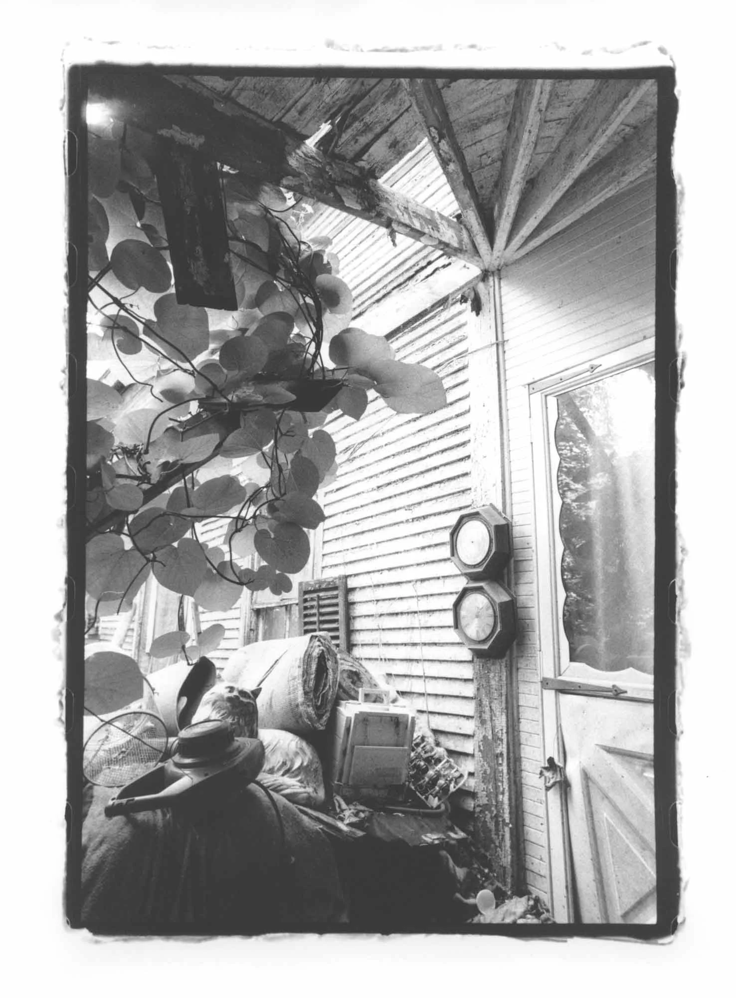 63 Basin Street, Porch Door, 63.jpg