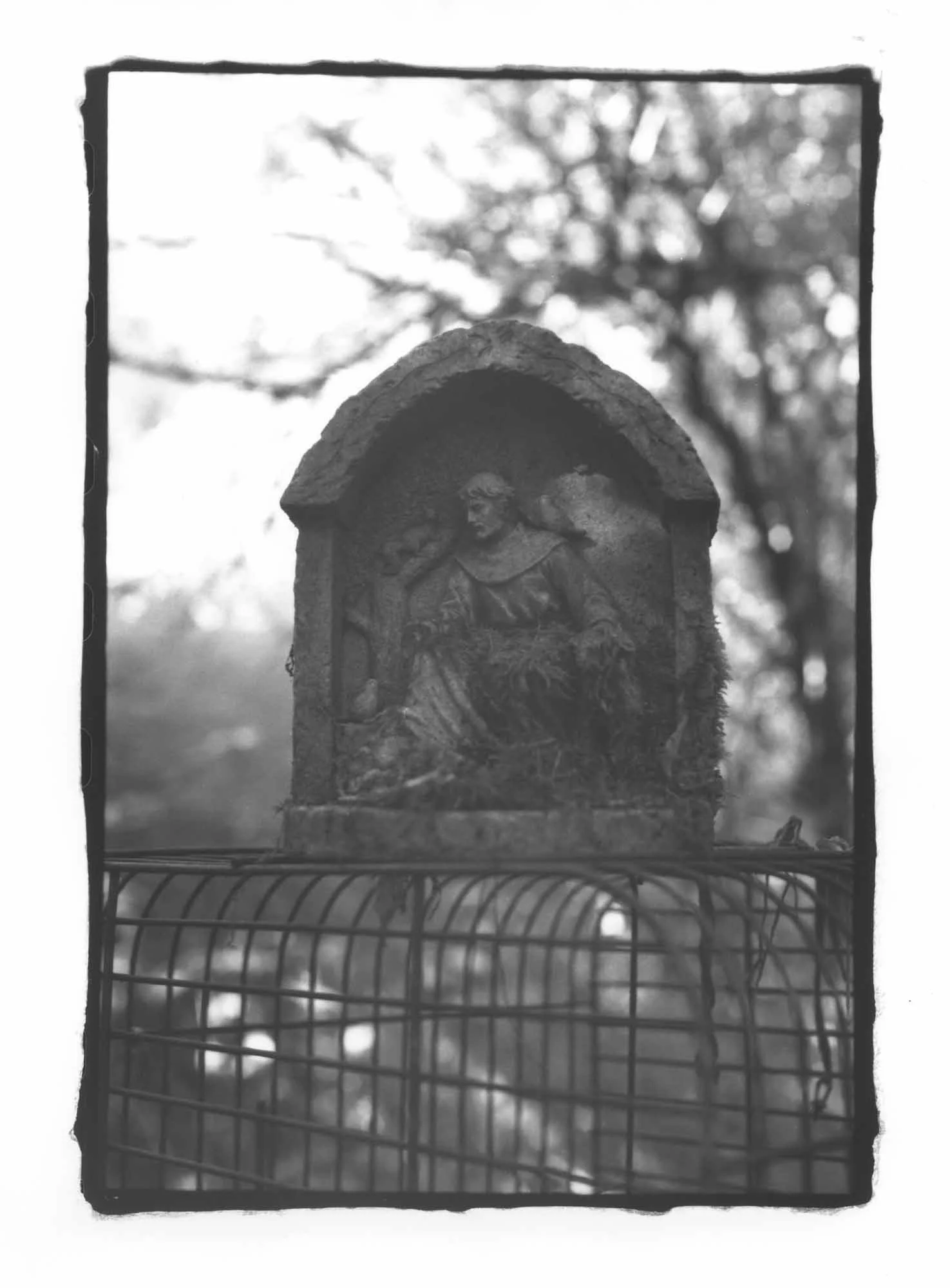 63 Basin Street, St. Francis and the Bird Cage.jpg