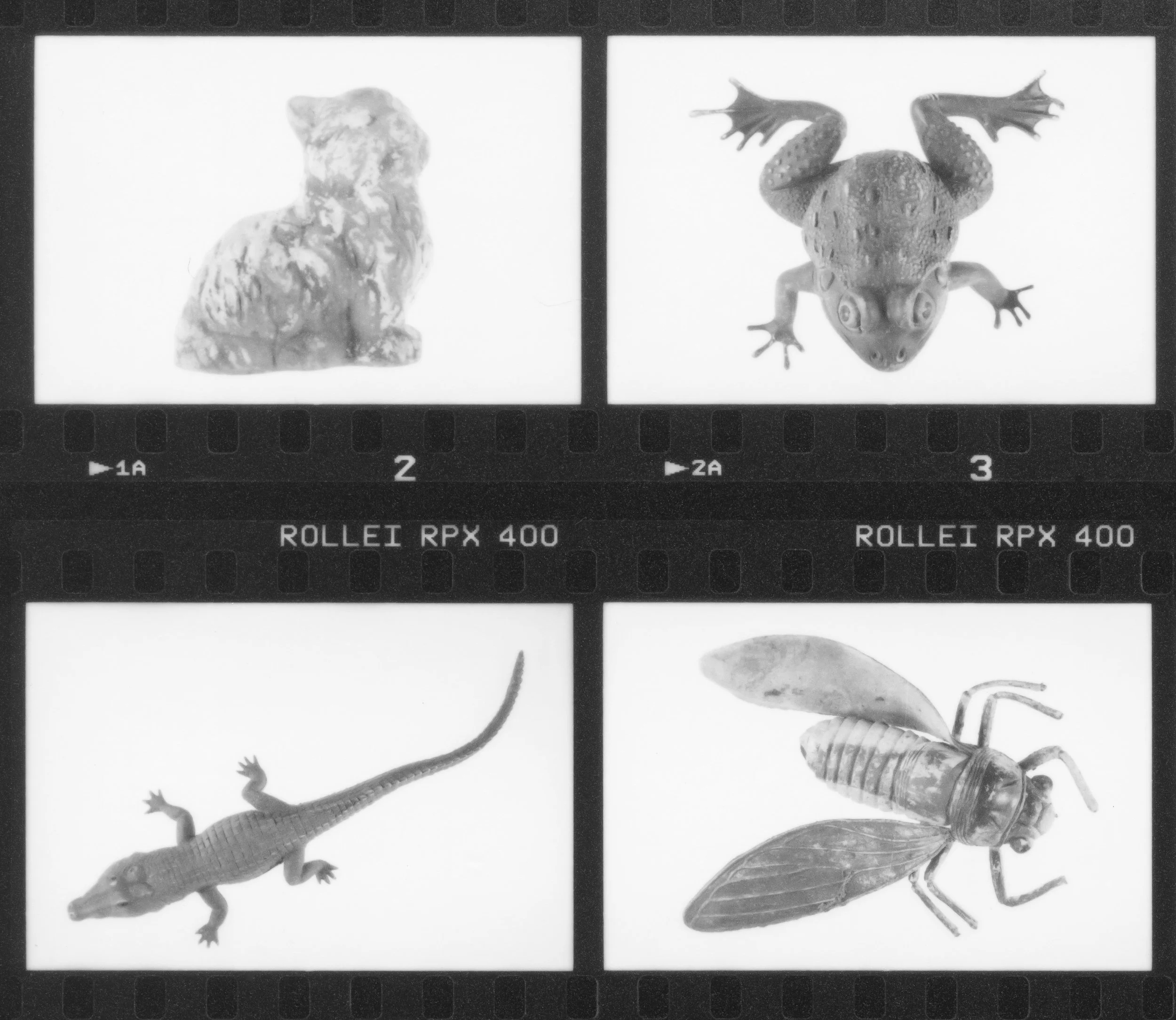 Basin St. Things, Contact Quad #1.jpg