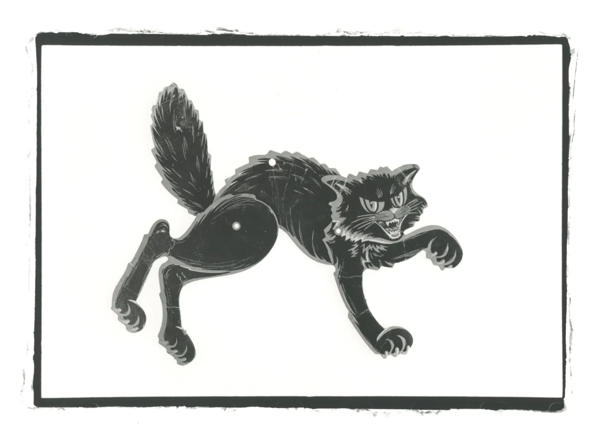 My Father's Things_Black Cat_1.jpg