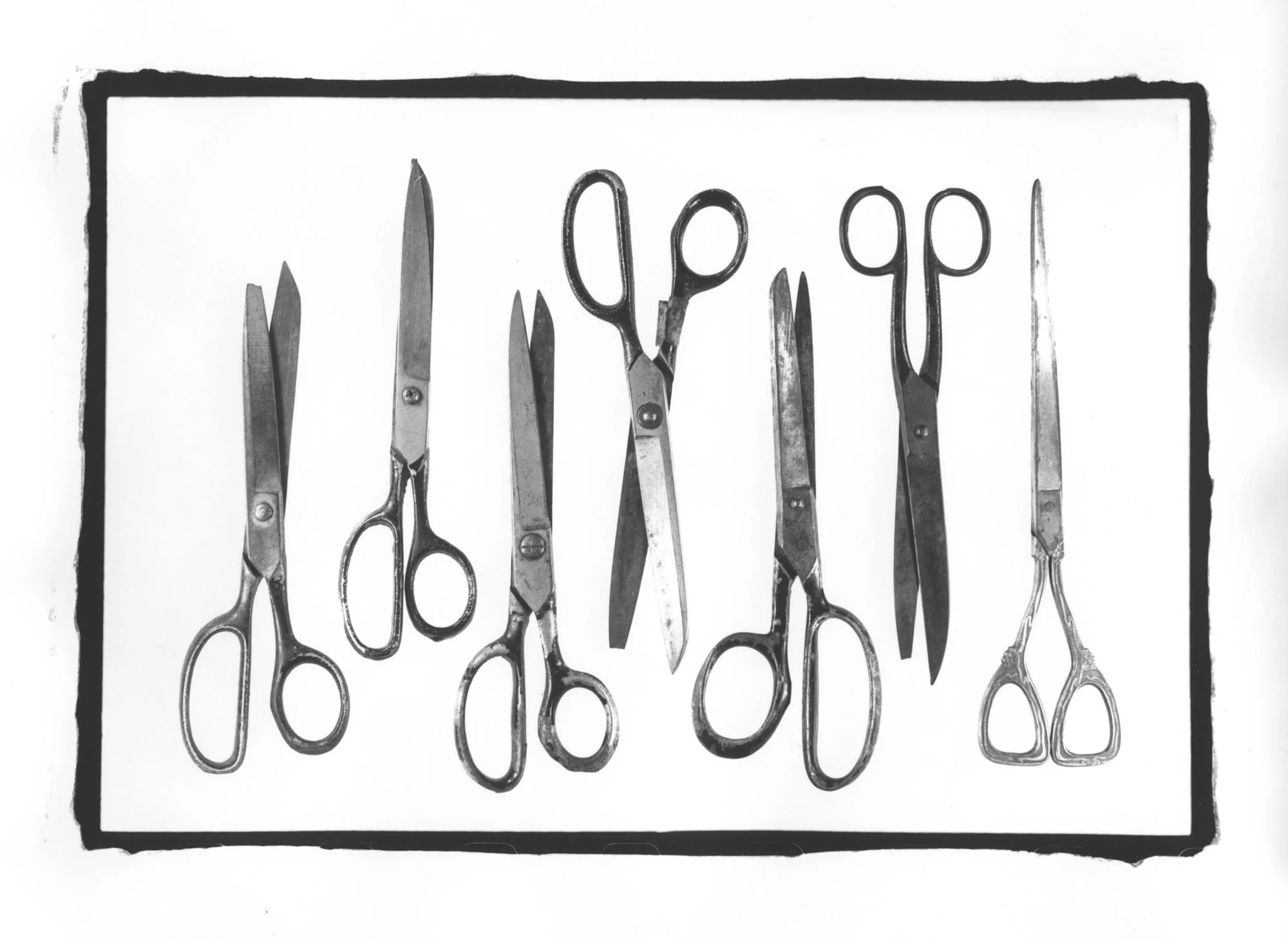 My Father's Things_Scissors, bleached_1.jpg