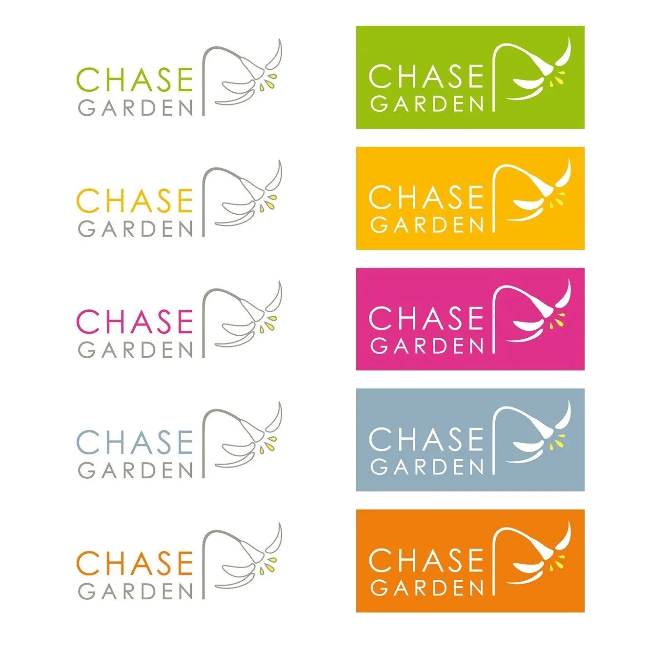 Chase_logoVariants.jpg