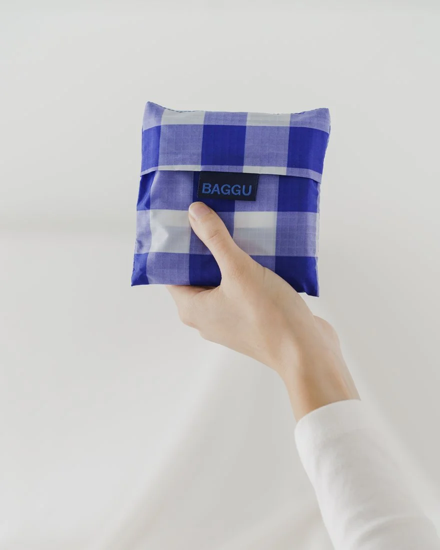 baggu blue gingham closed.jpg