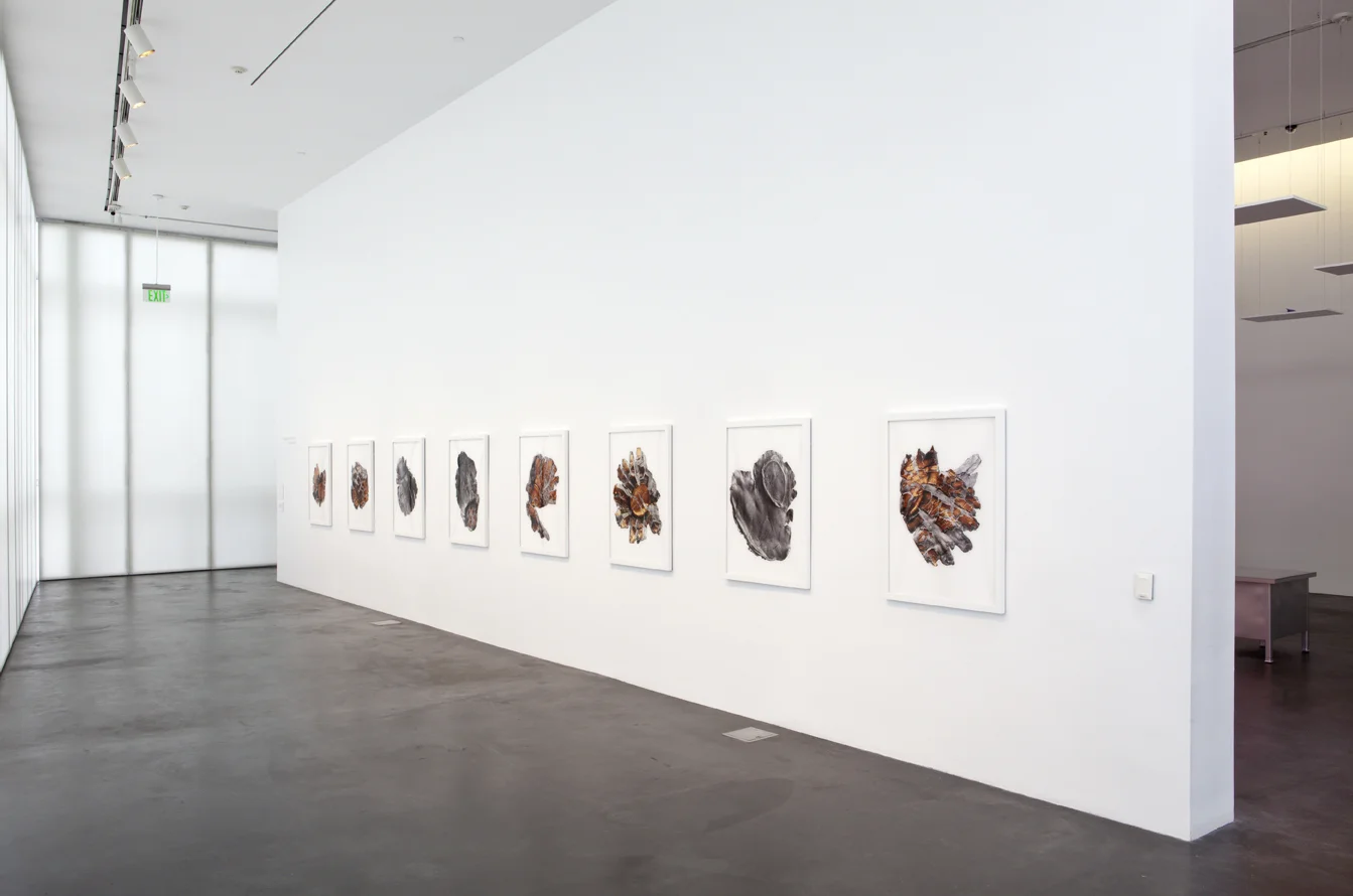 Instillation view of Shot at Type A's Exhibition Guarded at Museum of Contemporary Art Denver. 