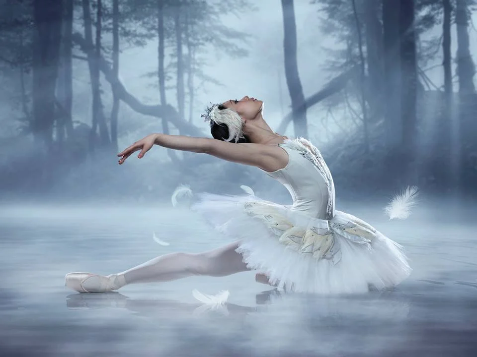 Rejean Brandt Photography