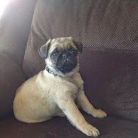 B-Squad Art Room - Empire's Comics Vault