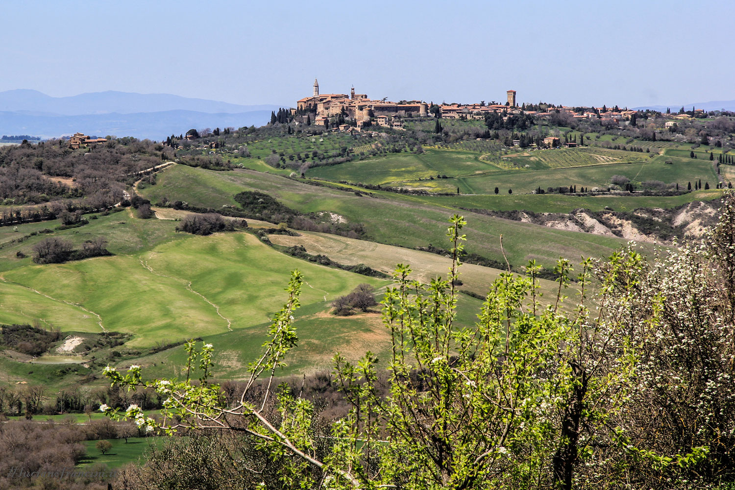 ValD'Orcia-Pienza3.jpg