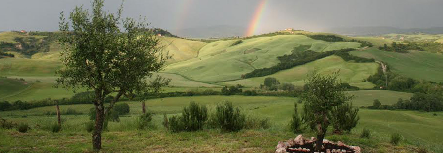 Banner5.jpg