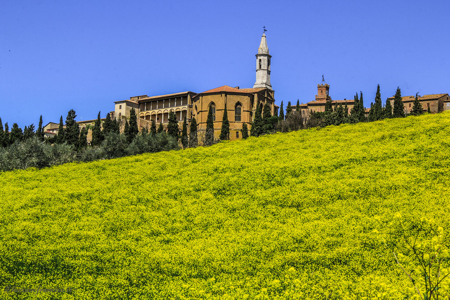 ValD'Orcia-Pienza2.jpg