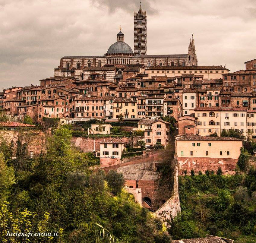 SIENA-CATHEDRAL2.jpg