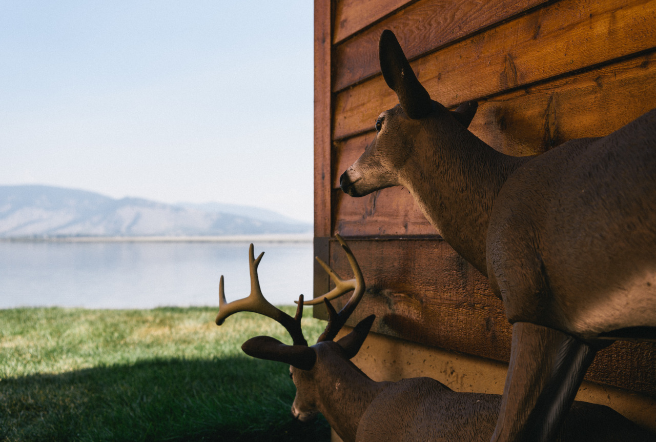 Idaho, 2016