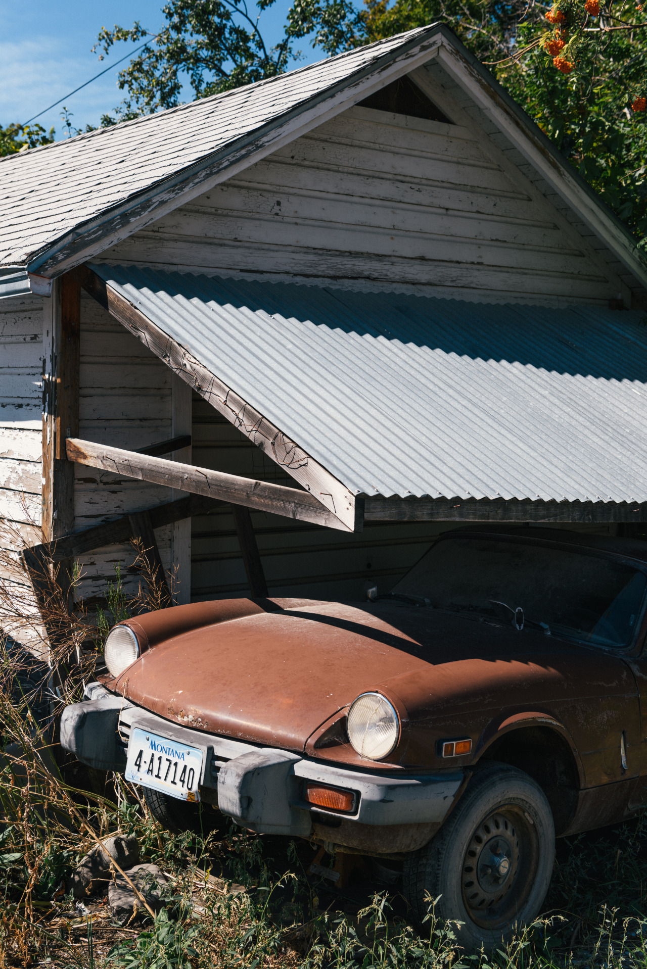 Montana, 2016