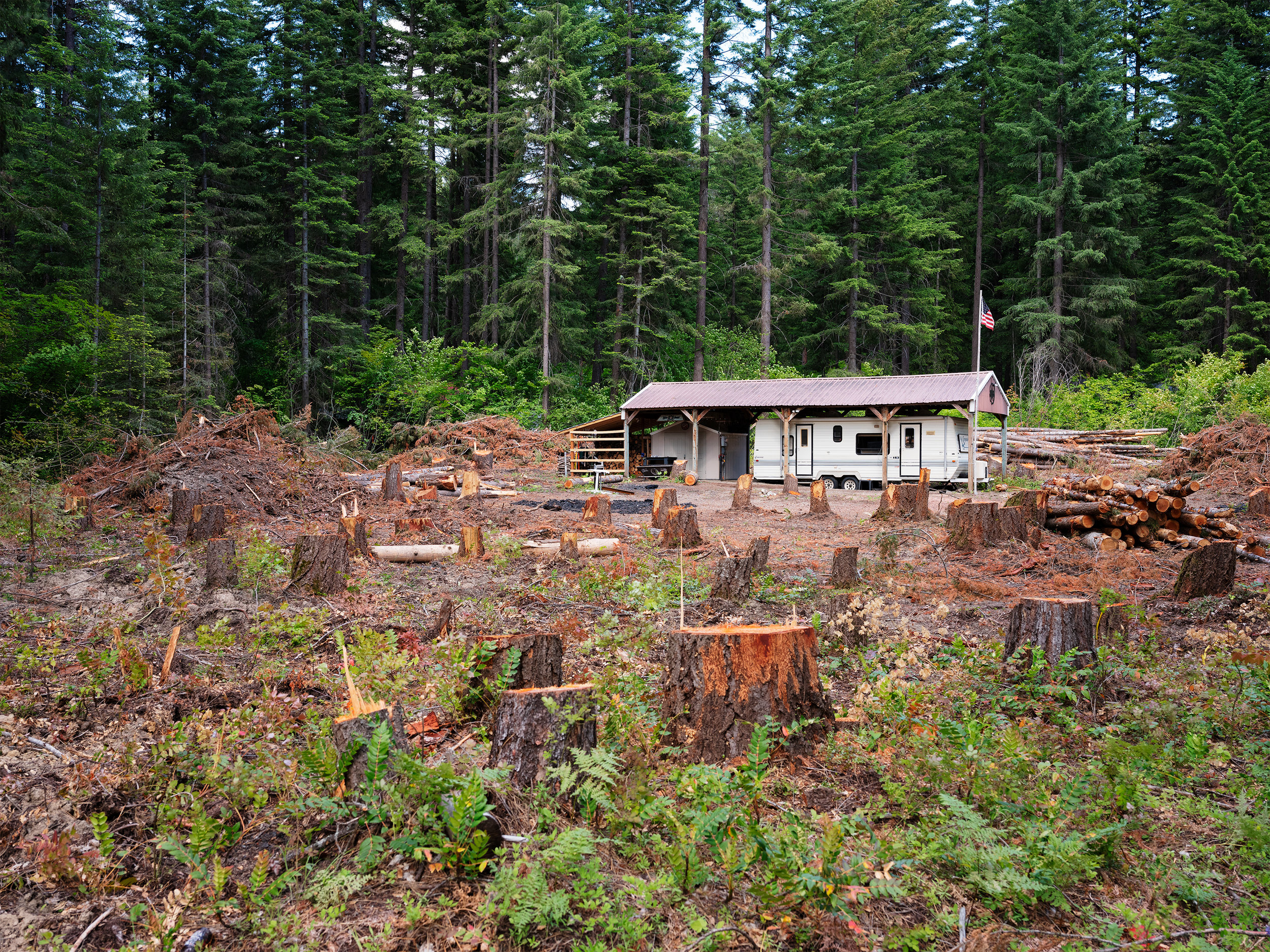 Near Roslyn, WA