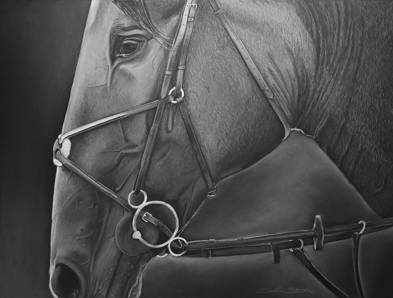  Siobhan Stanton - Charcoal Drawing, Hastings-on-Hudson, NY 