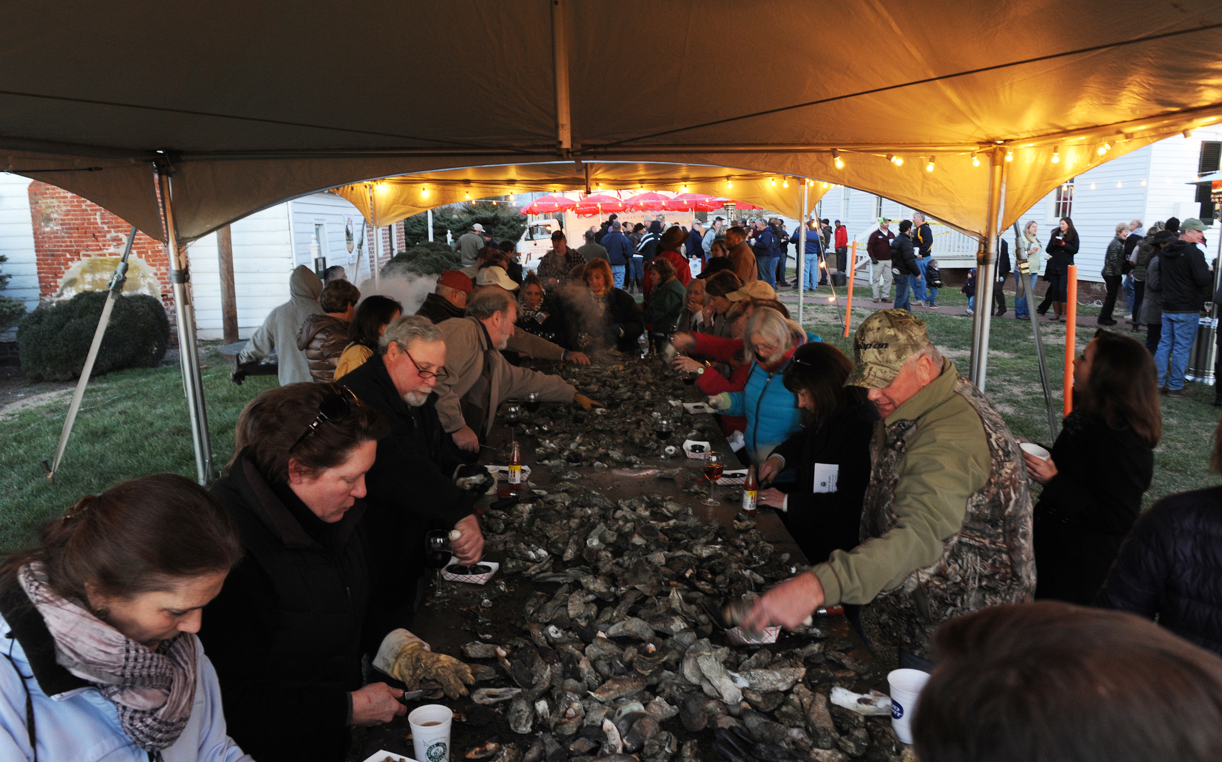 Oyster Roast — Eastern Shore of Virginia Barrier Islands Center