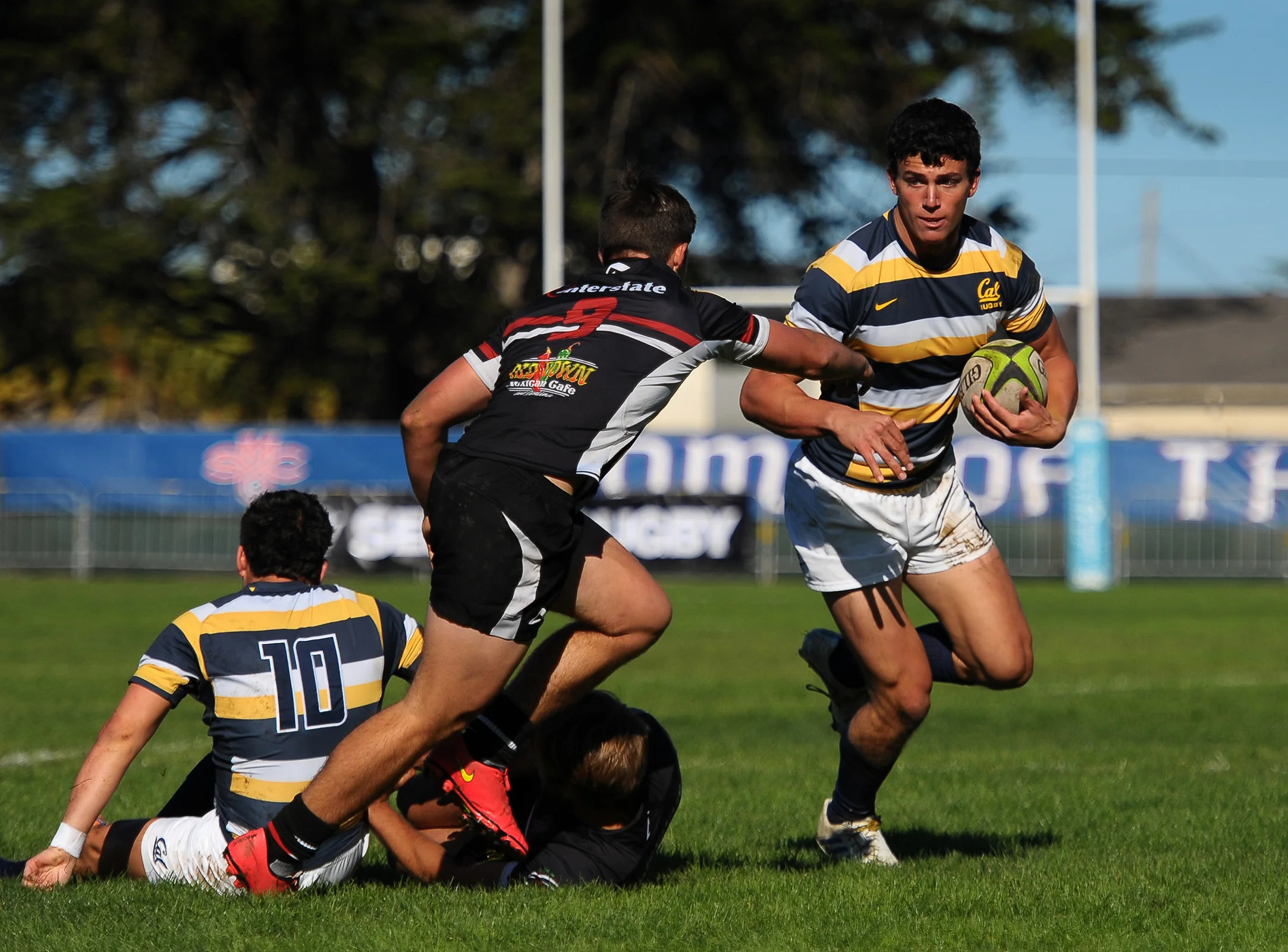 UC BERKELEY VS SAN DIEGO STATE COLLEGE RUGBY 7s 2014_2214.jpg