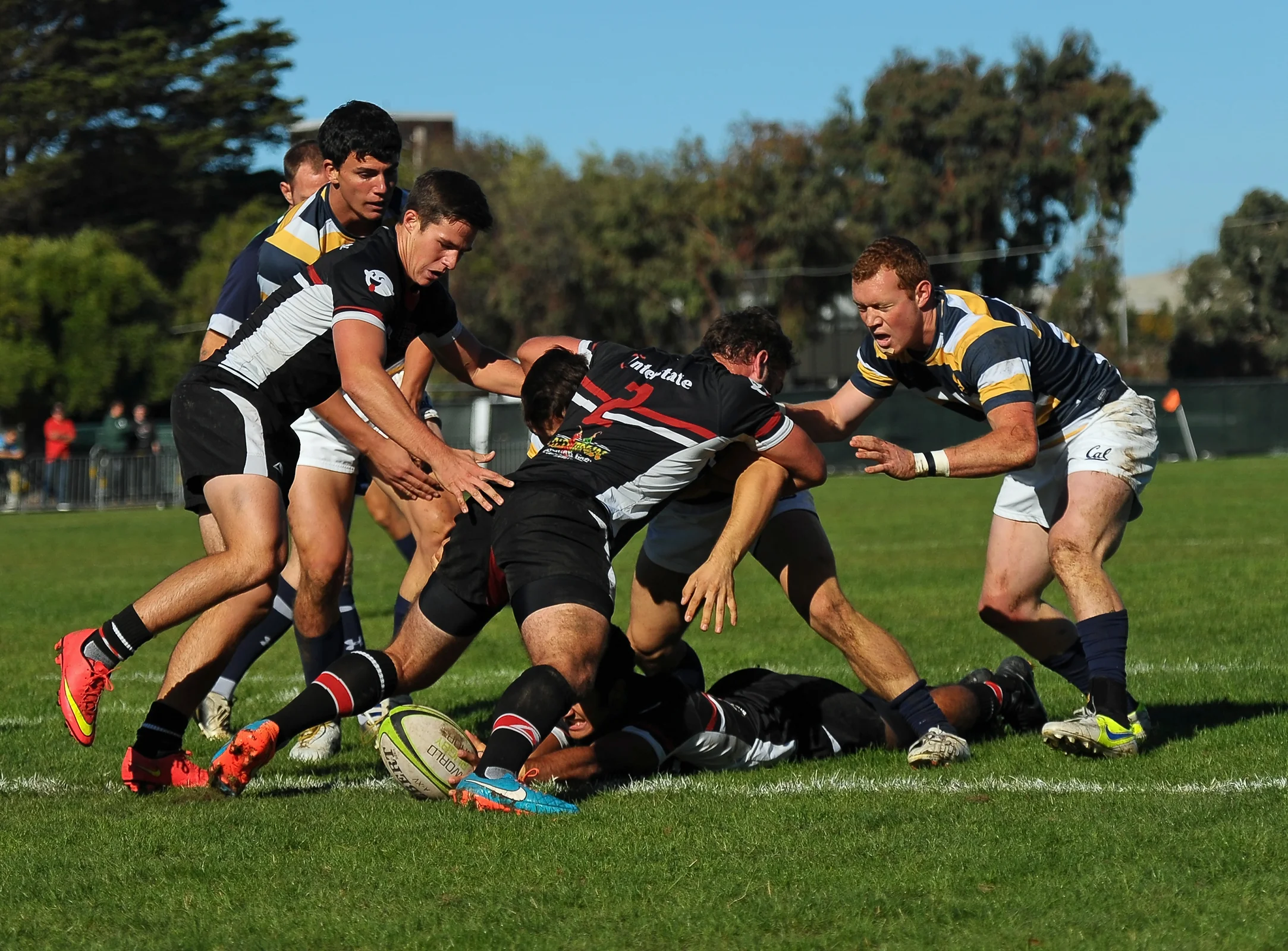 UC BERKELEY VS SAN DIEGO STATE COLLEGE RUGBY 7s 2014_2224.jpg