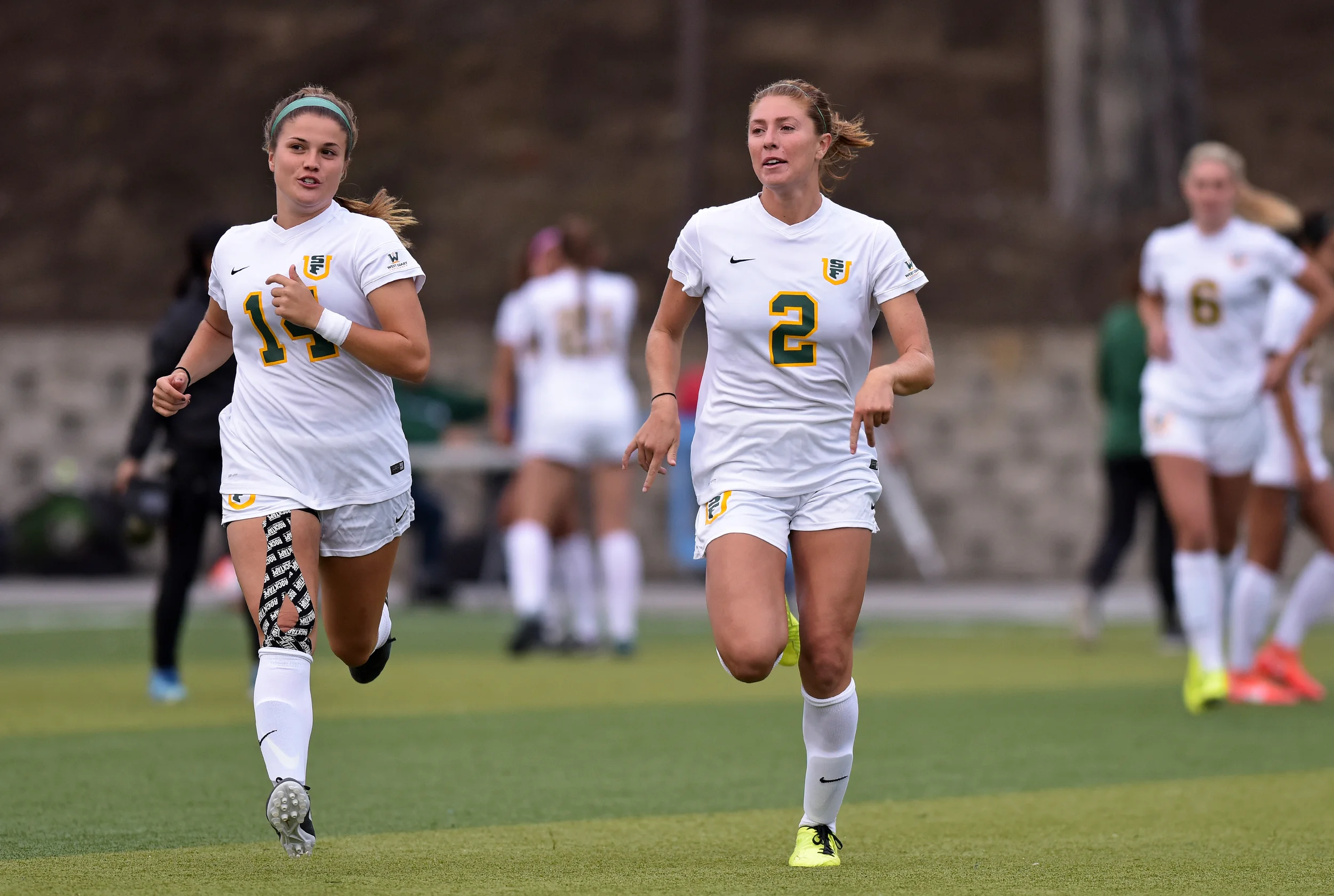 ND_WSOC_081916 USF DONS vs FLORIDA GULF COAST 2016 Photo Noel Danseco_7979.jpg