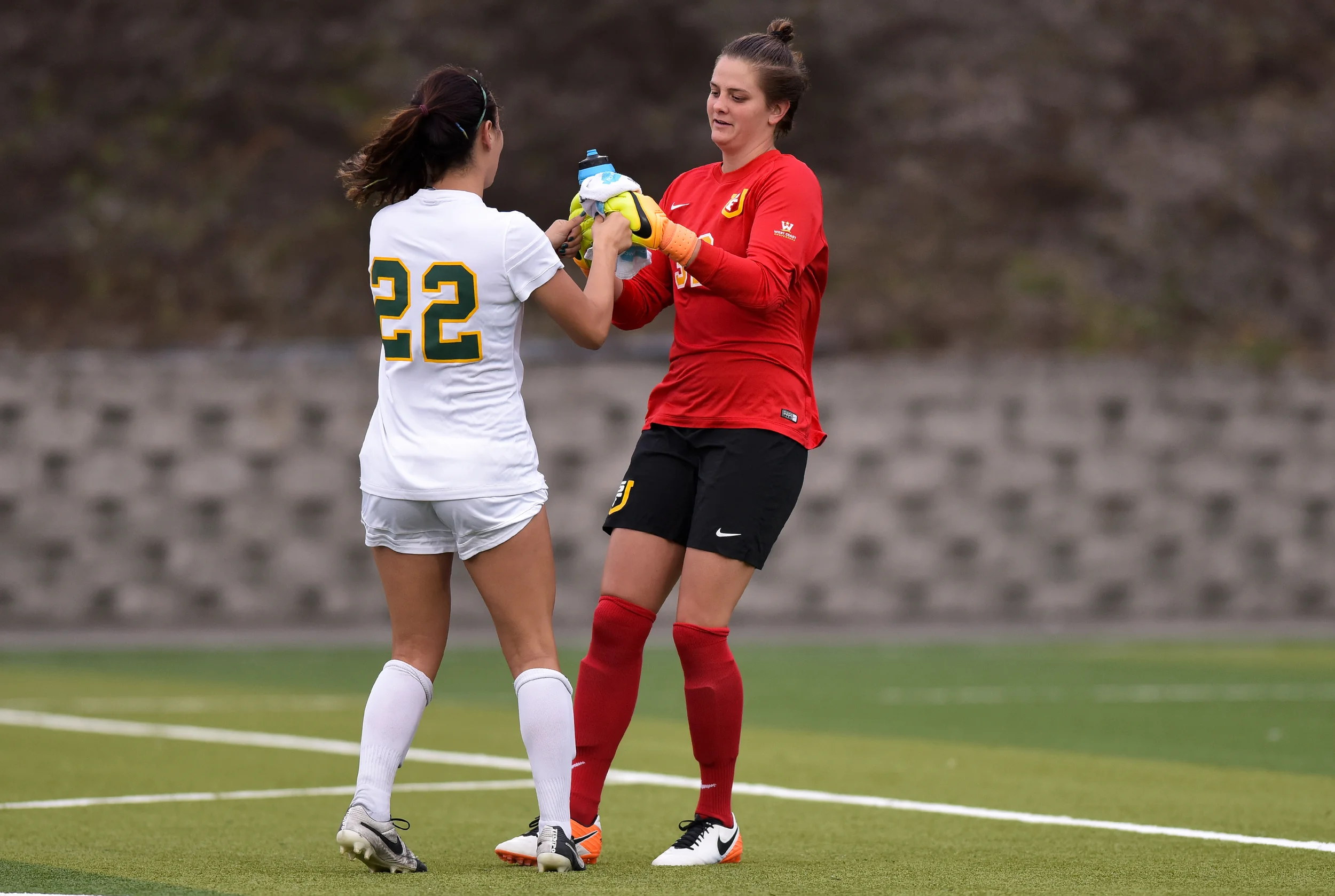 ND_WSOC_081916 USF DONS vs FLORIDA GULF COAST 2016 Photo Noel Danseco_7984.jpg