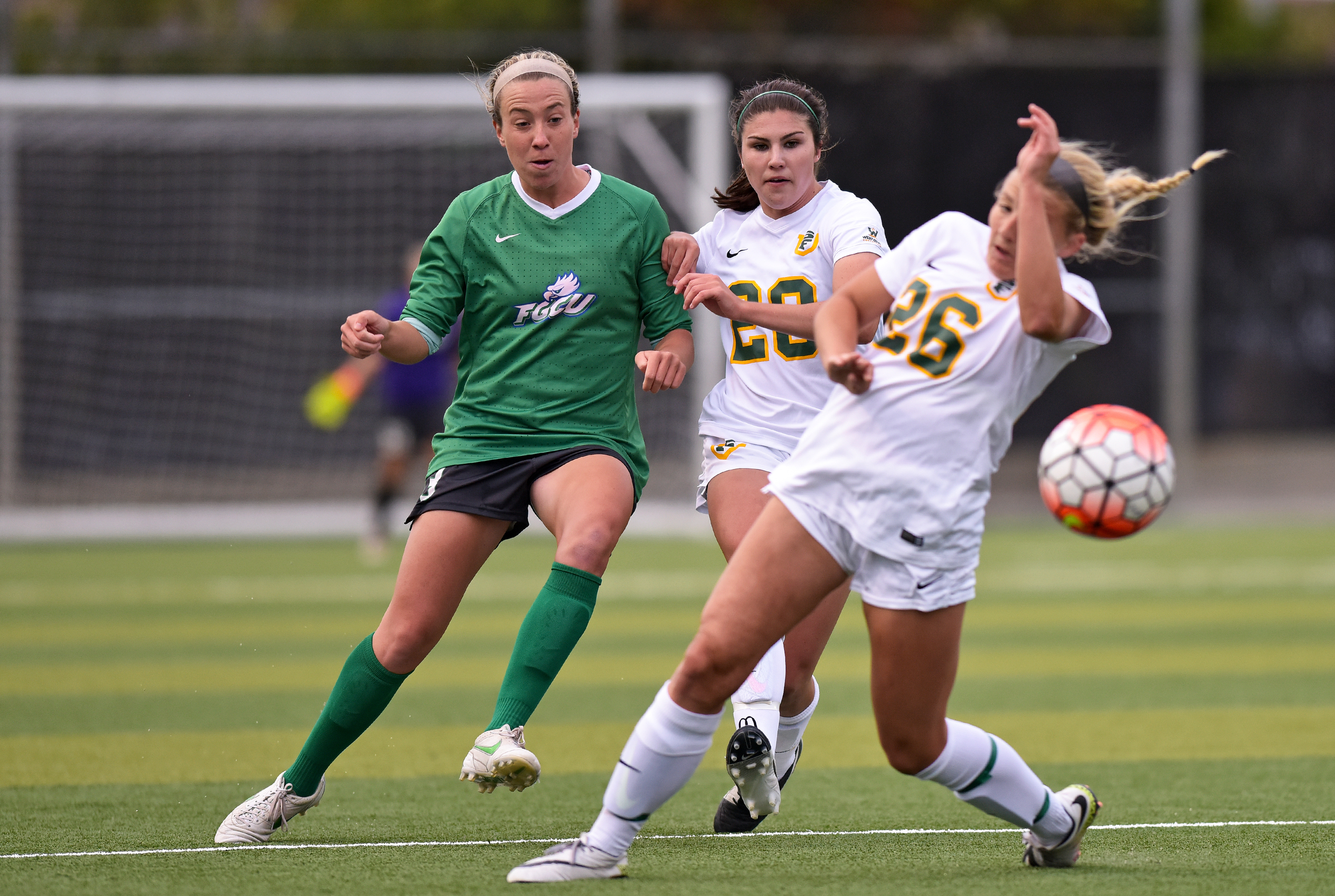 ND_WSOC_081916 USF DONS vs FLORIDA GULF COAST 2016 Photo Noel Danseco_8039.jpg