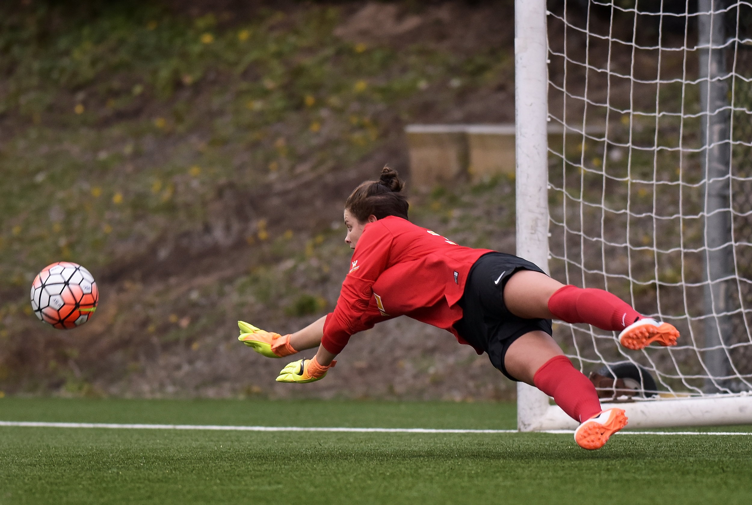 ND_WSOC_081916 USF DONS vs FLORIDA GULF COAST 2016 Photo Noel Danseco_8193.jpg