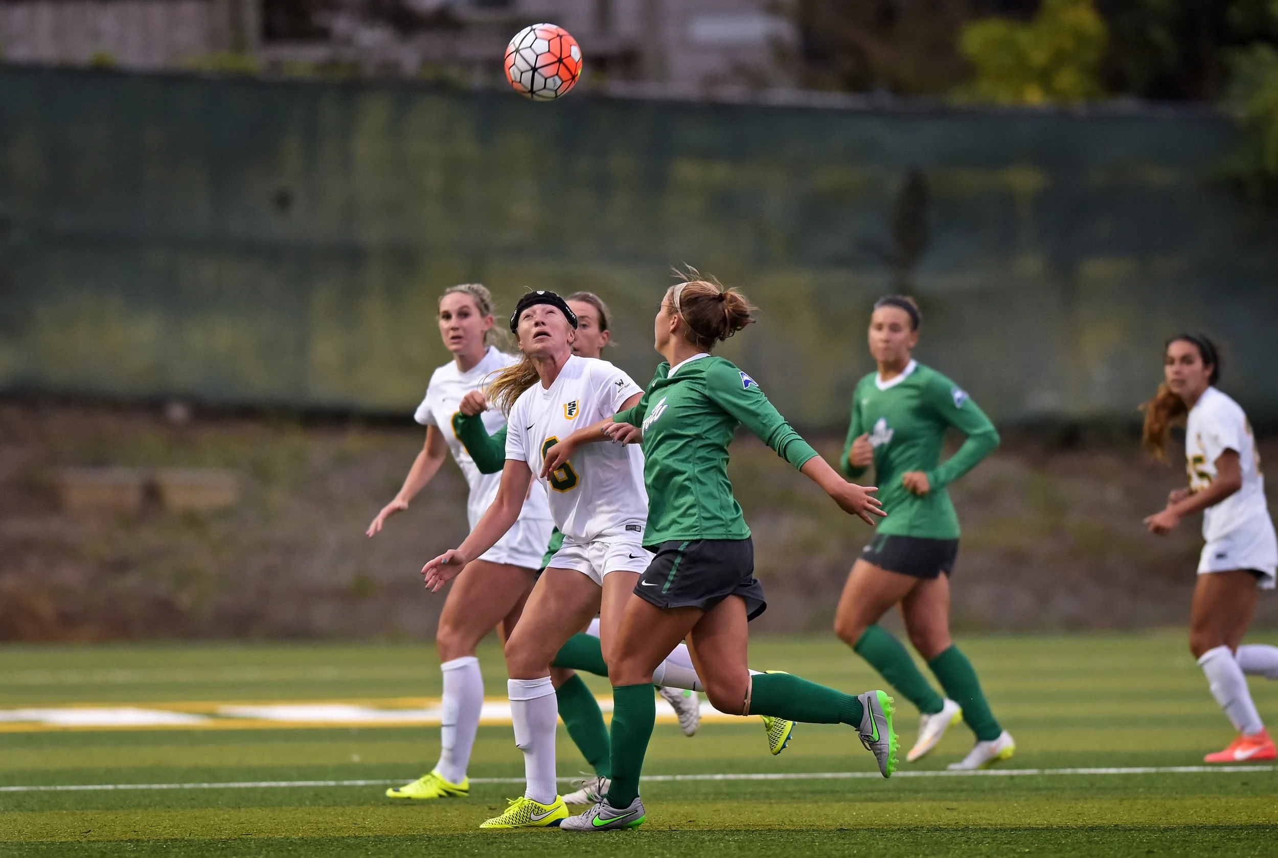 ND_WSOC_081916 USF DONS vs FLORIDA GULF COAST 2016 Photo Noel Danseco_8331.jpg