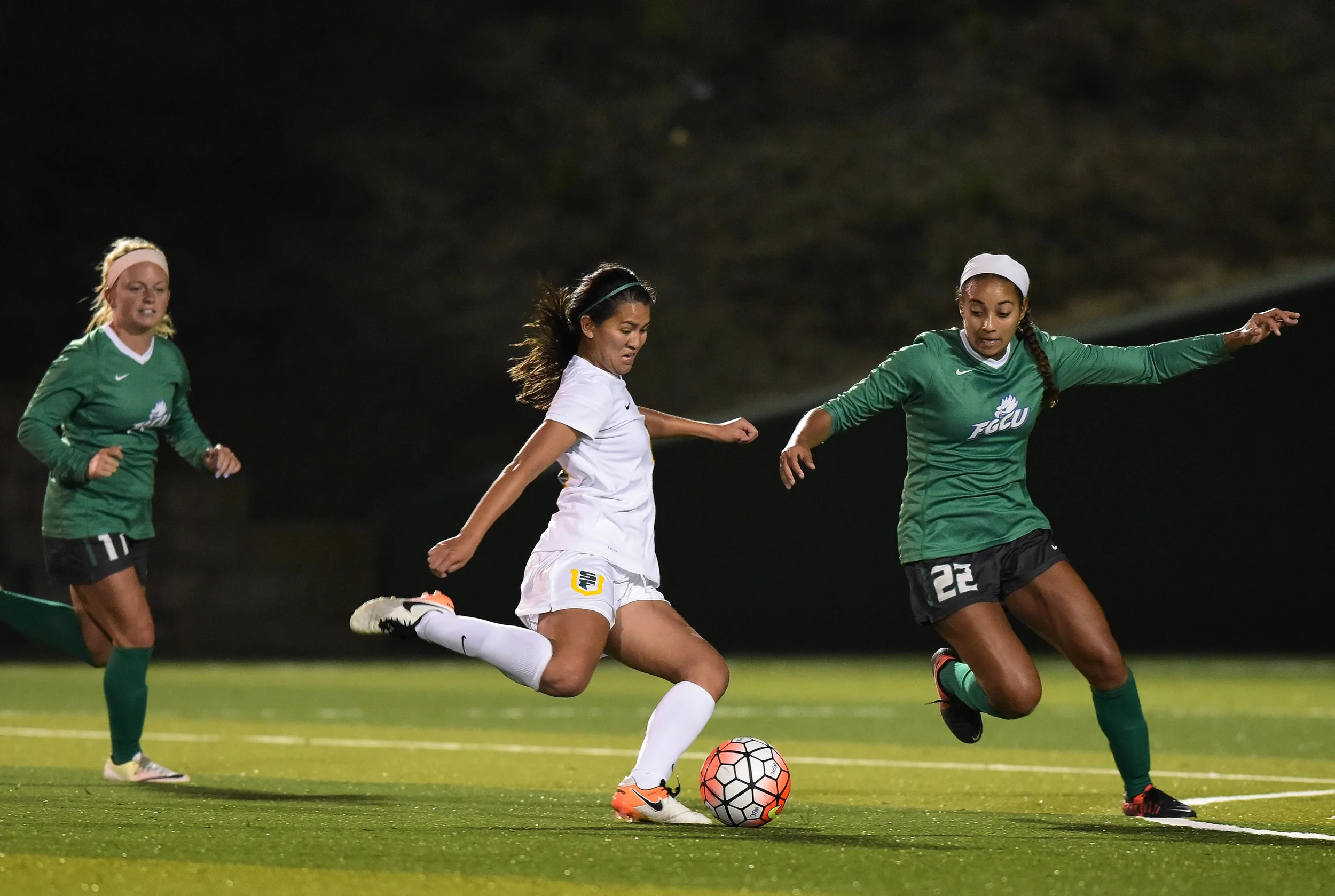 ND_WSOC_081916 USF DONS vs FLORIDA GULF COAST 2016 Photo Noel Danseco_8549.jpg