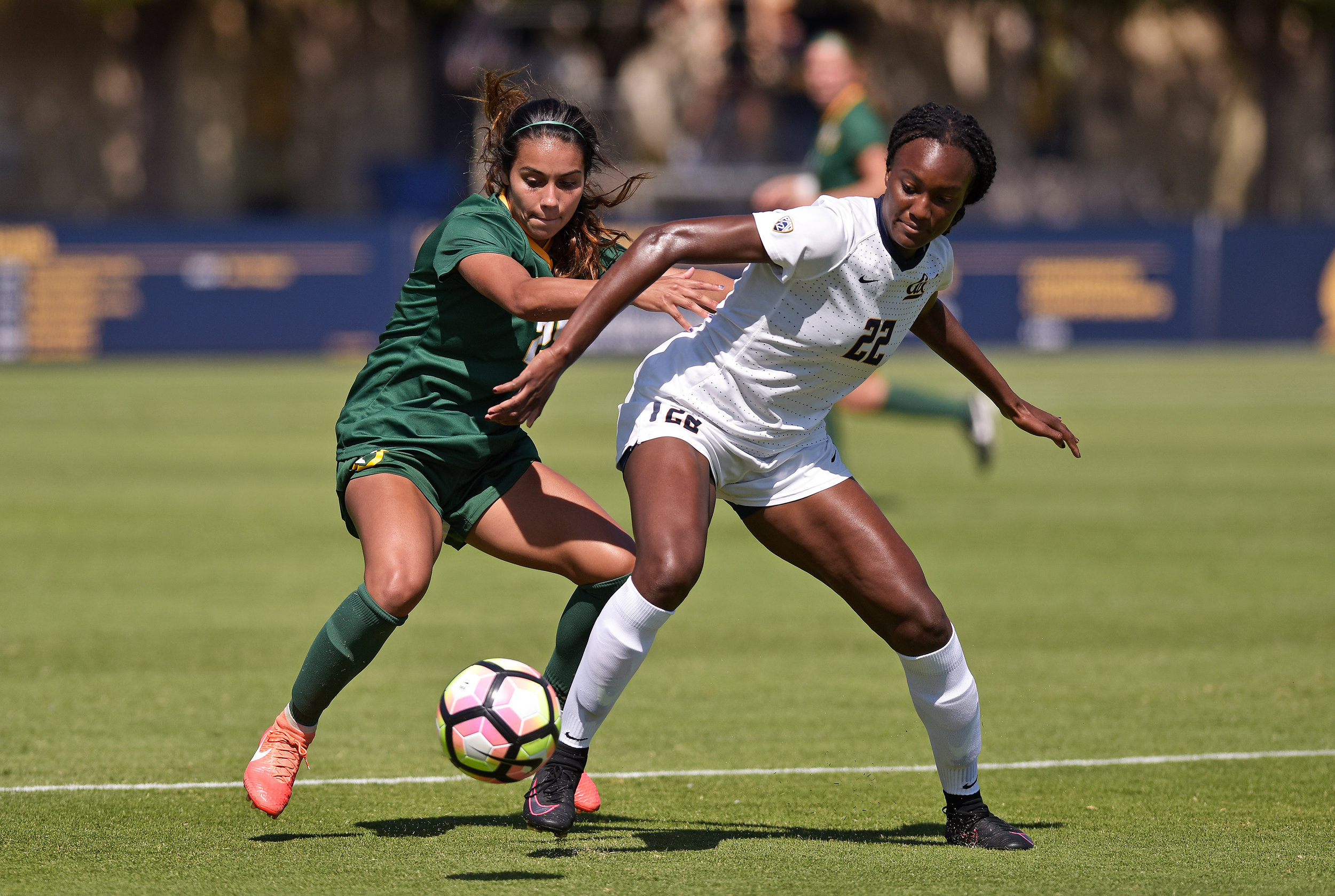 USF DONS vs CAL BEARS NCAA 2016 Photo Noel Danseco_4350.jpg