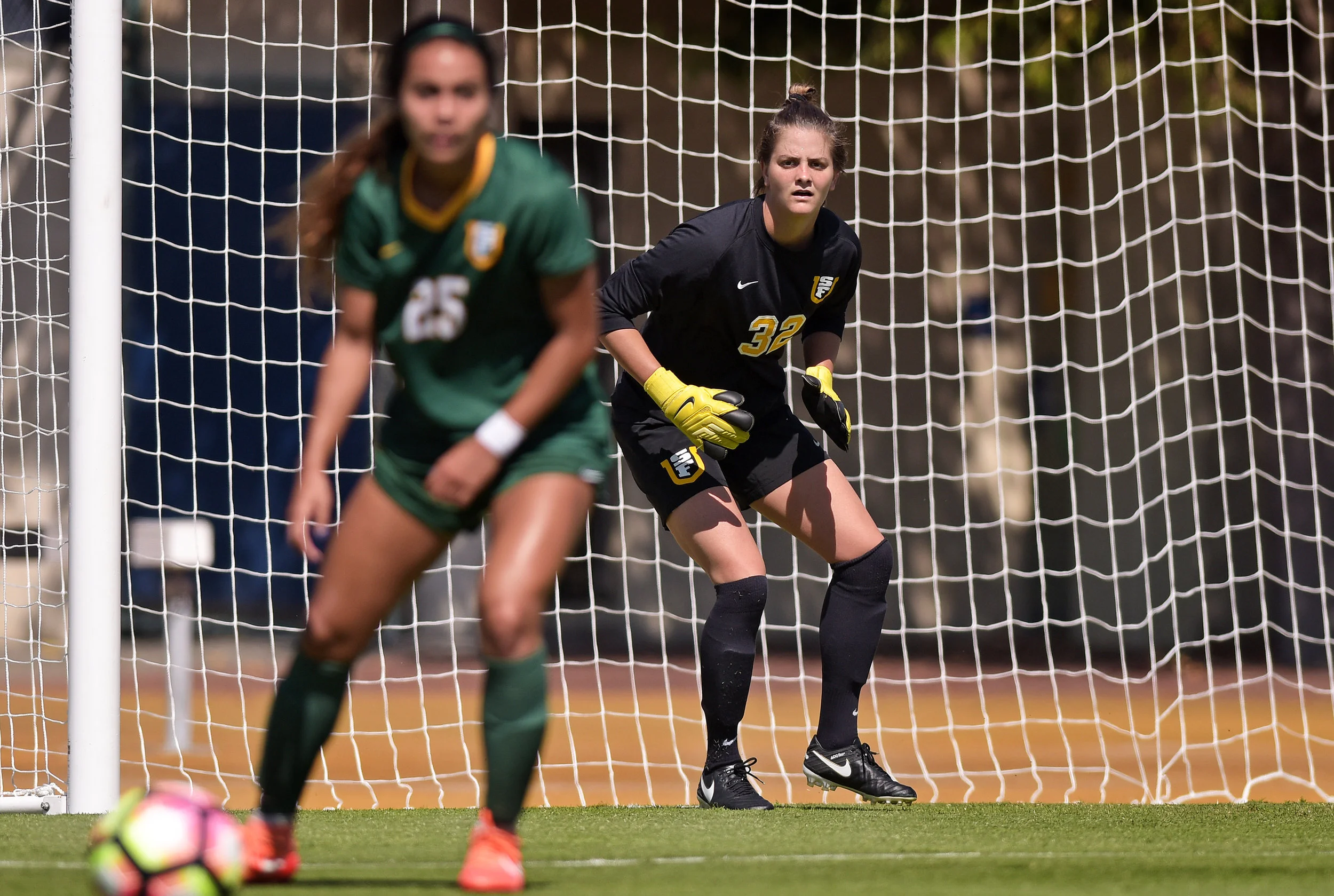 USF DONS vs CAL BEARS NCAA 2016 Photo Noel Danseco_4452.jpg