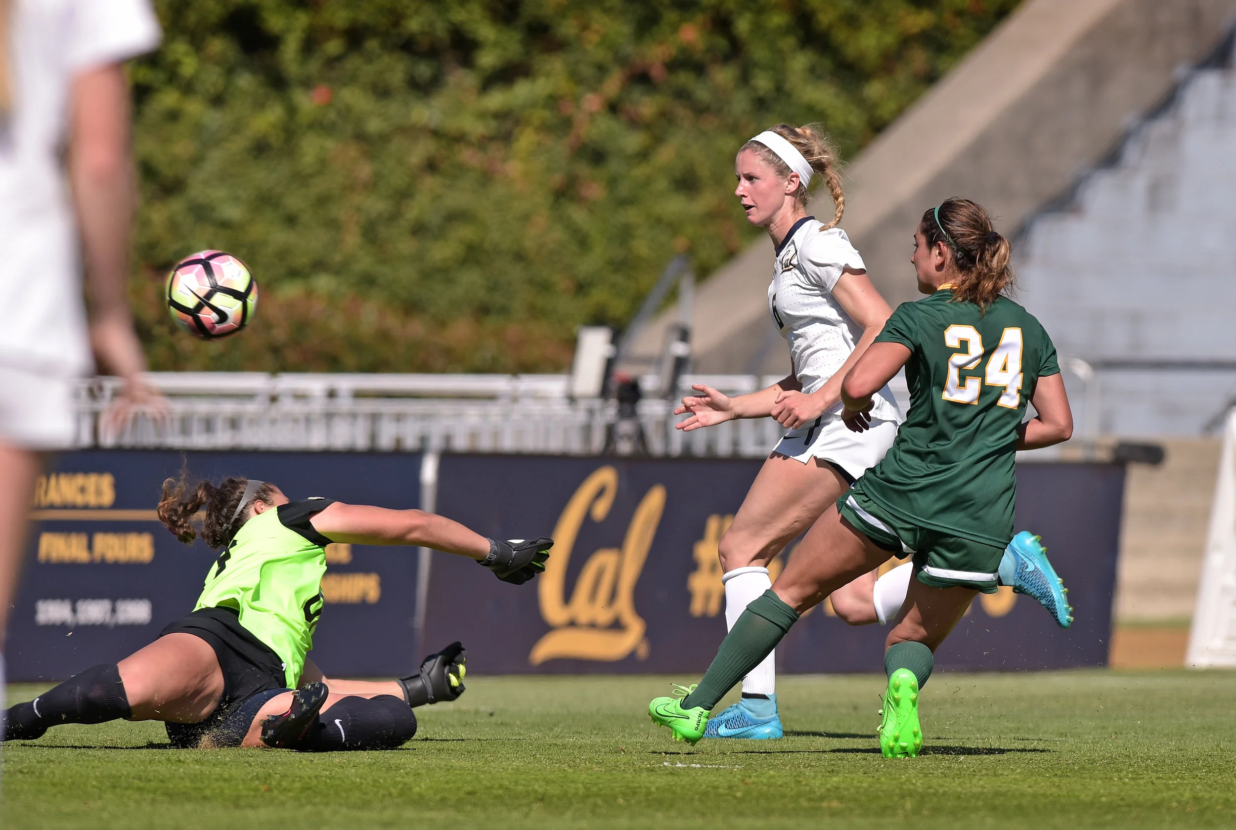 USF DONS vs CAL BEARS NCAA 2016 Photo Noel Danseco_5209.jpg