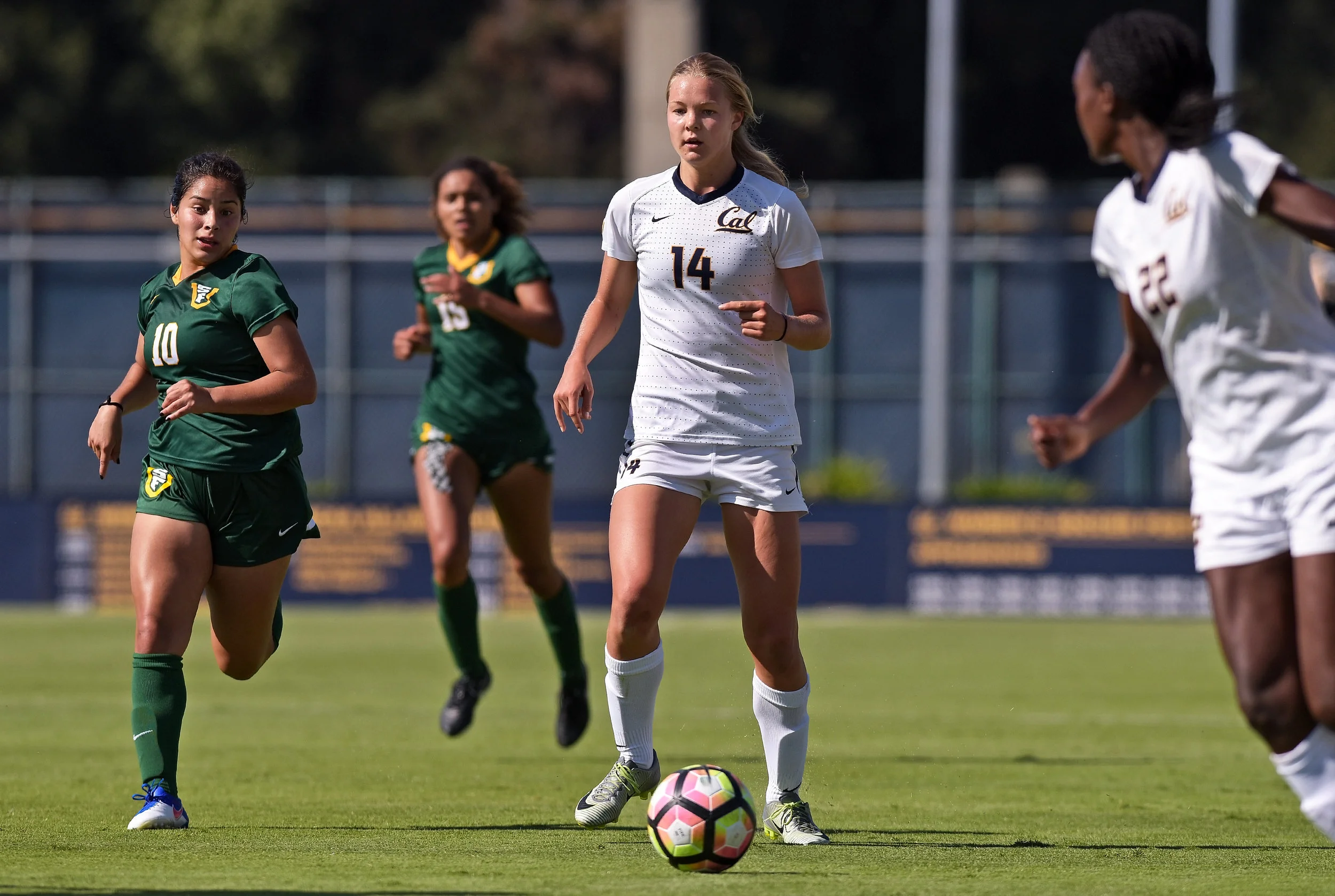 USF DONS vs CAL BEARS NCAA 2016 Photo Noel Danseco_5339.jpg