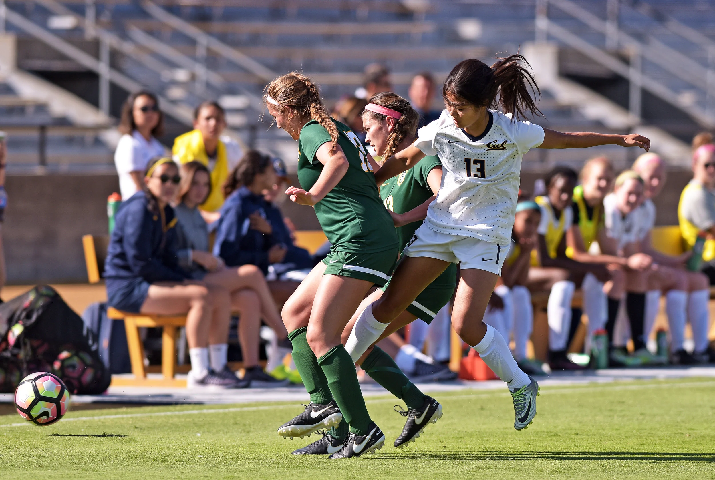 USF DONS vs CAL BEARS NCAA 2016 Photo Noel Danseco_5472.jpg